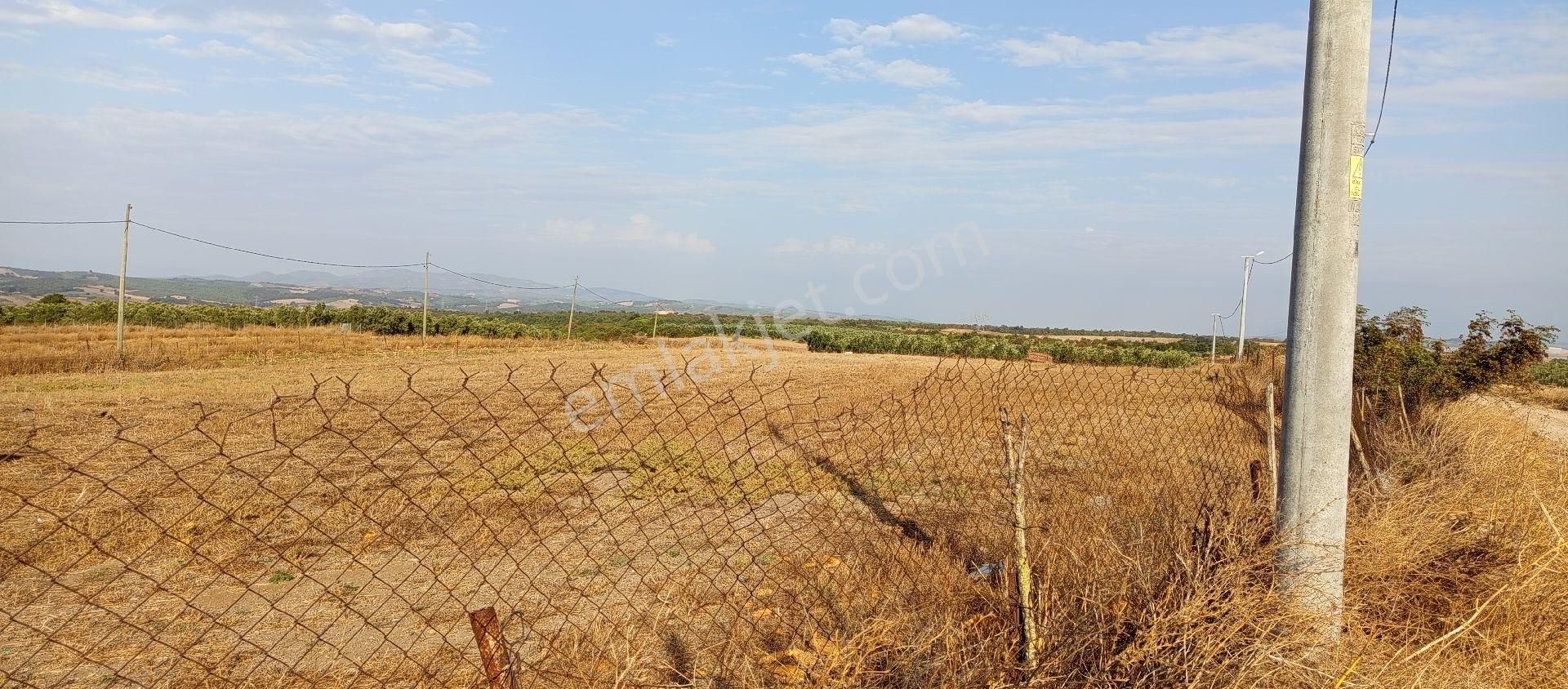 Bursa Karacabey Muratlı Mahallesi Satılık 3.500 Mt2 Hisseli Tarla - Görsel 19