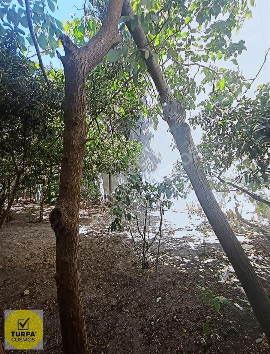 3 Adet 3+1 Daire Olan Komple Bina Satılıktır - Görsel 27