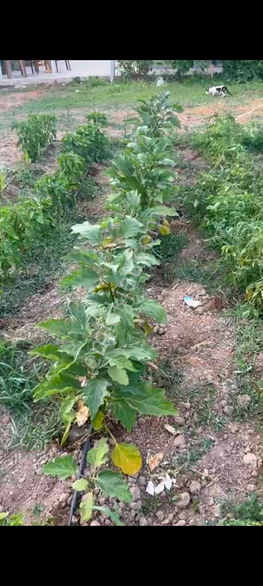 Ereğli Turkmenlidr Satilik Arsa Ve İcinde Ev - Görsel 5