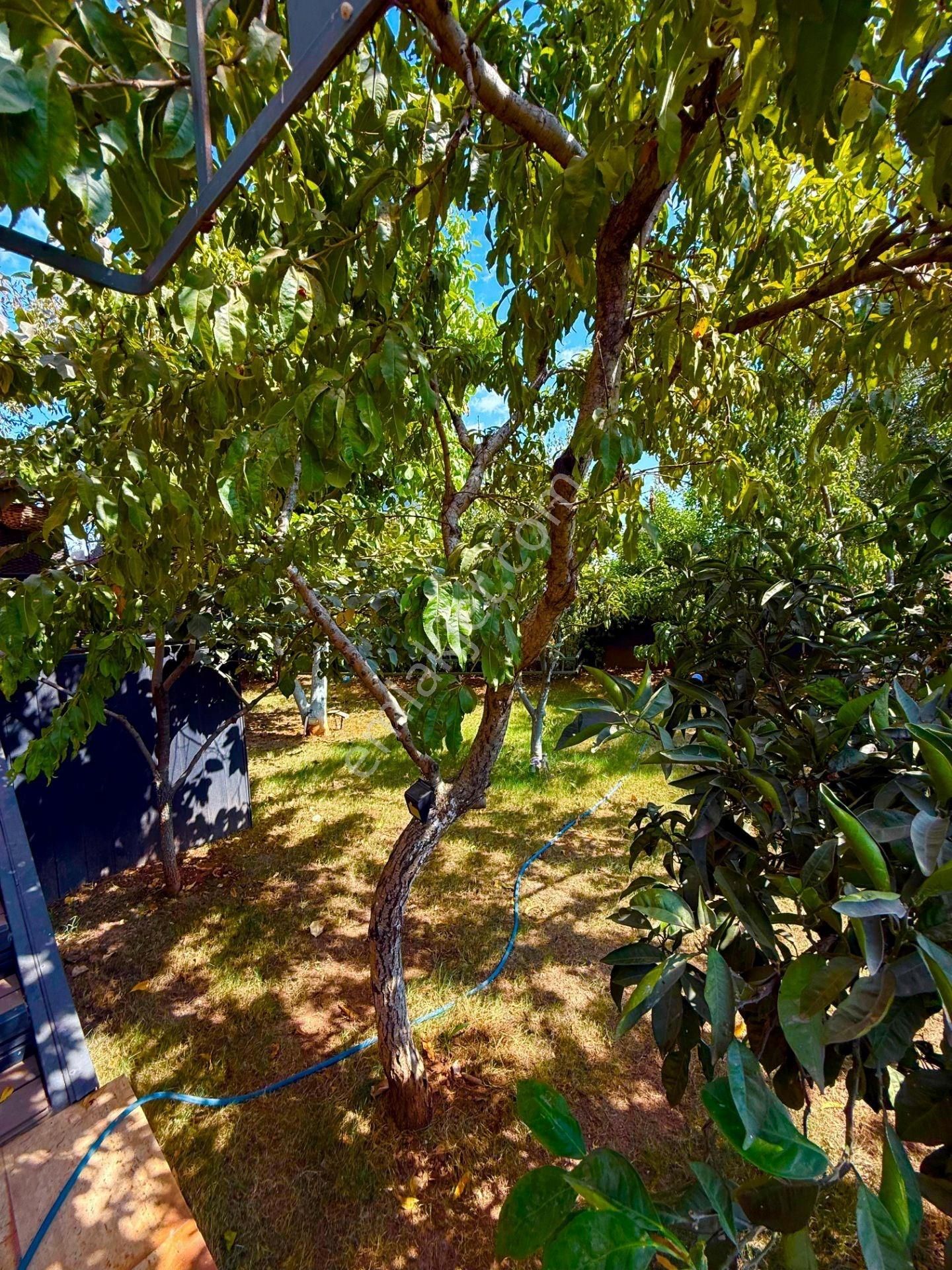 3+1 Müstakil Havuzlu Villa – 280 M² Arsa Üzerinde - Görsel 17