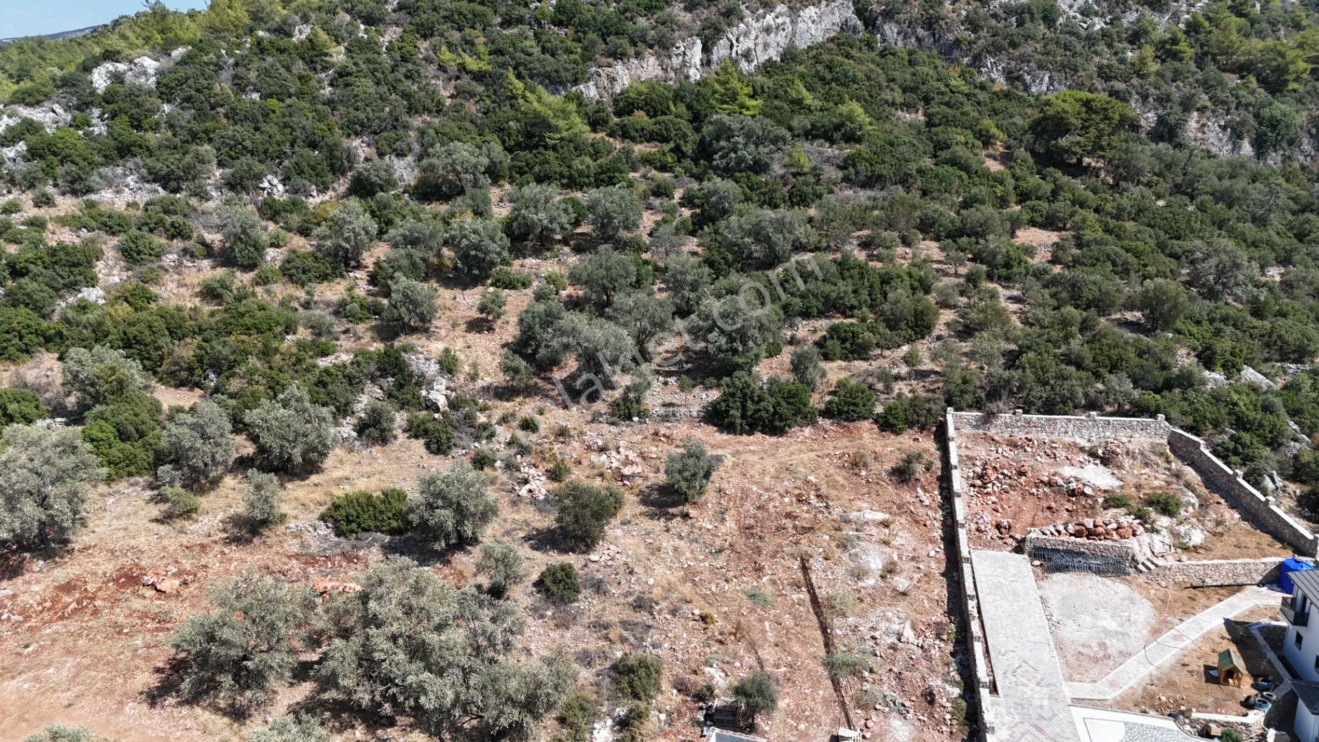 Goldhouse Dan Satılık Tarla Muhteşem Fethiye Körfezi Manzaralı - Görsel 15