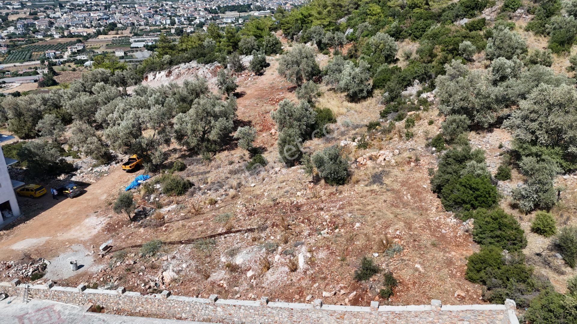Goldhouse Dan Satılık Tarla Muhteşem Fethiye Körfezi Manzaralı - Görsel 13