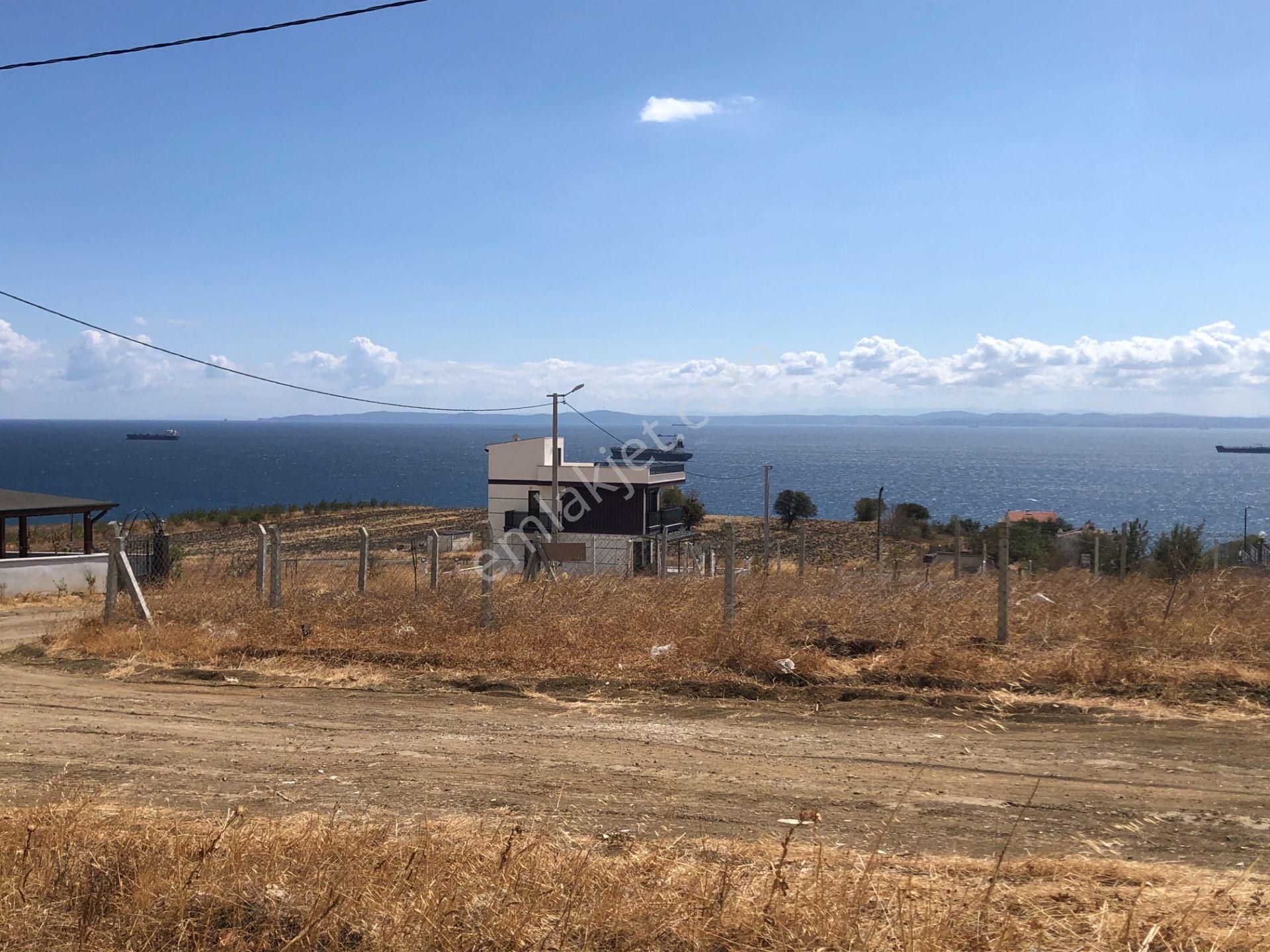 Şarköy De Işık Emlaktan İstiklal Mah De 590 M2 0/25 İmarlı İki Arsa - Görsel 9