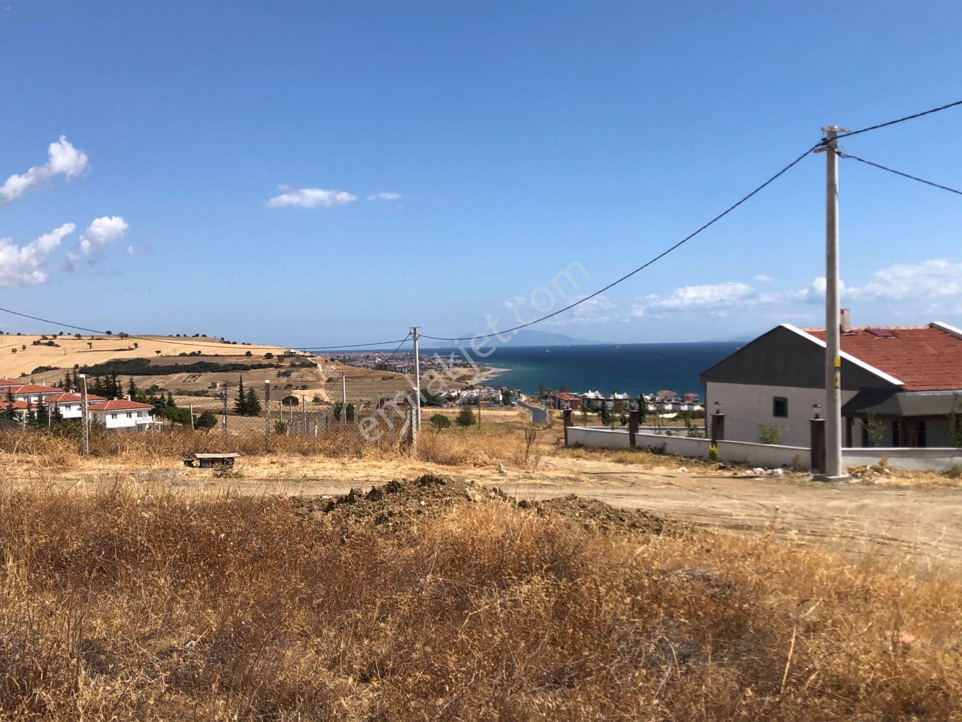 Şarköy De Işık Emlaktan İstiklal Mah De 590 M2 0/25 İmarlı İki Arsa - Görsel 5