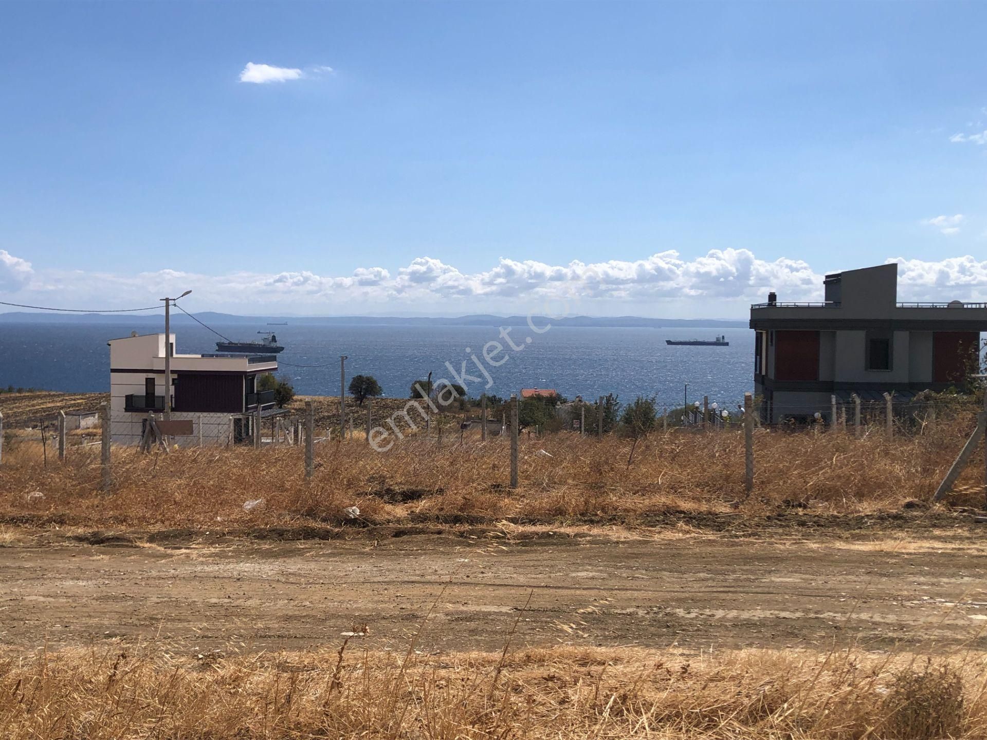 Şarköy De Işık Emlaktan İstiklal Mah De 590 M2 0/25 İmarlı İki Arsa - Görsel 11