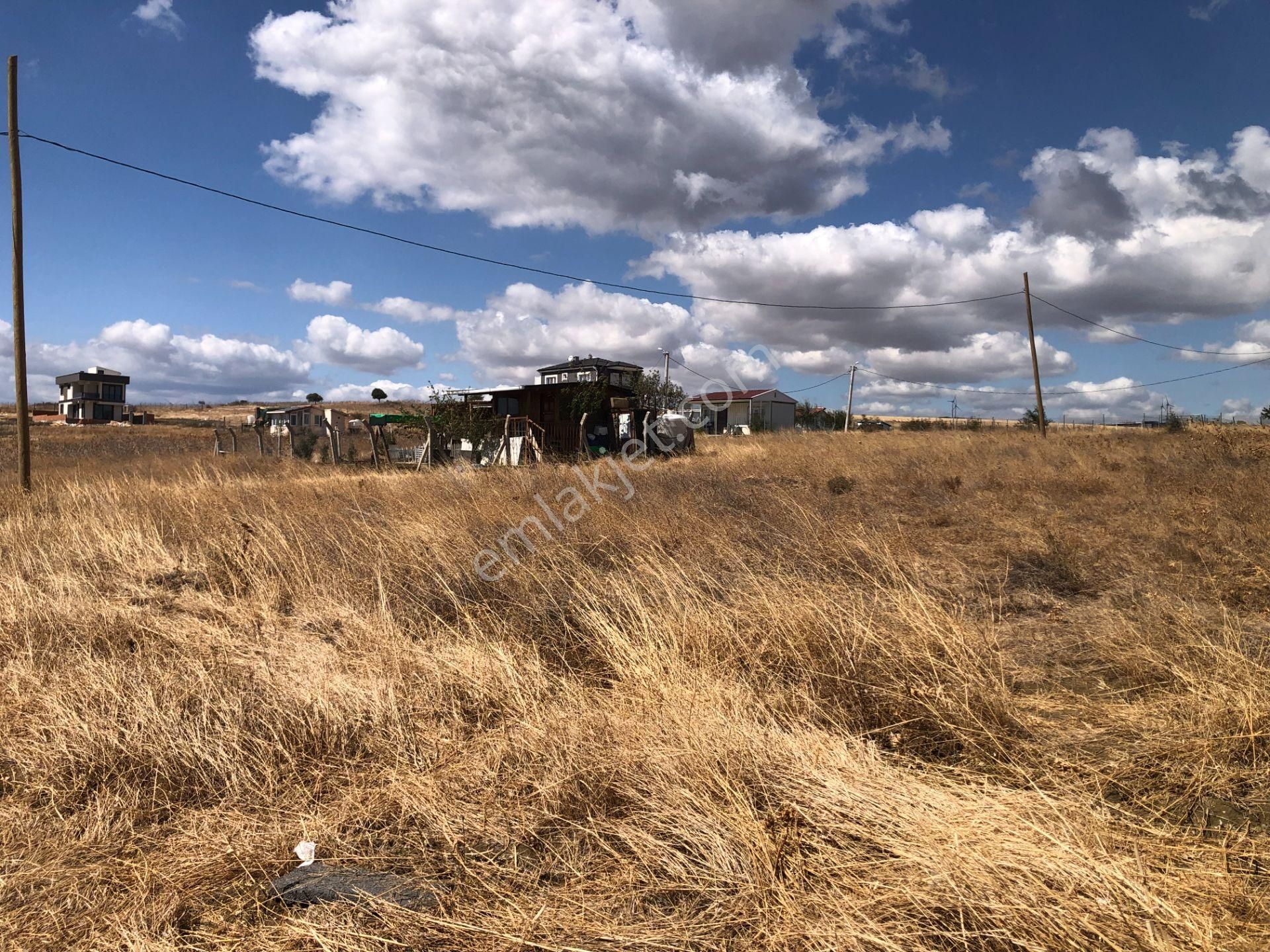 Şarköy De Işık Emlaktan İstiklal Mah De 590 M2 0/25 İmarlı İki Arsa - Görsel 10