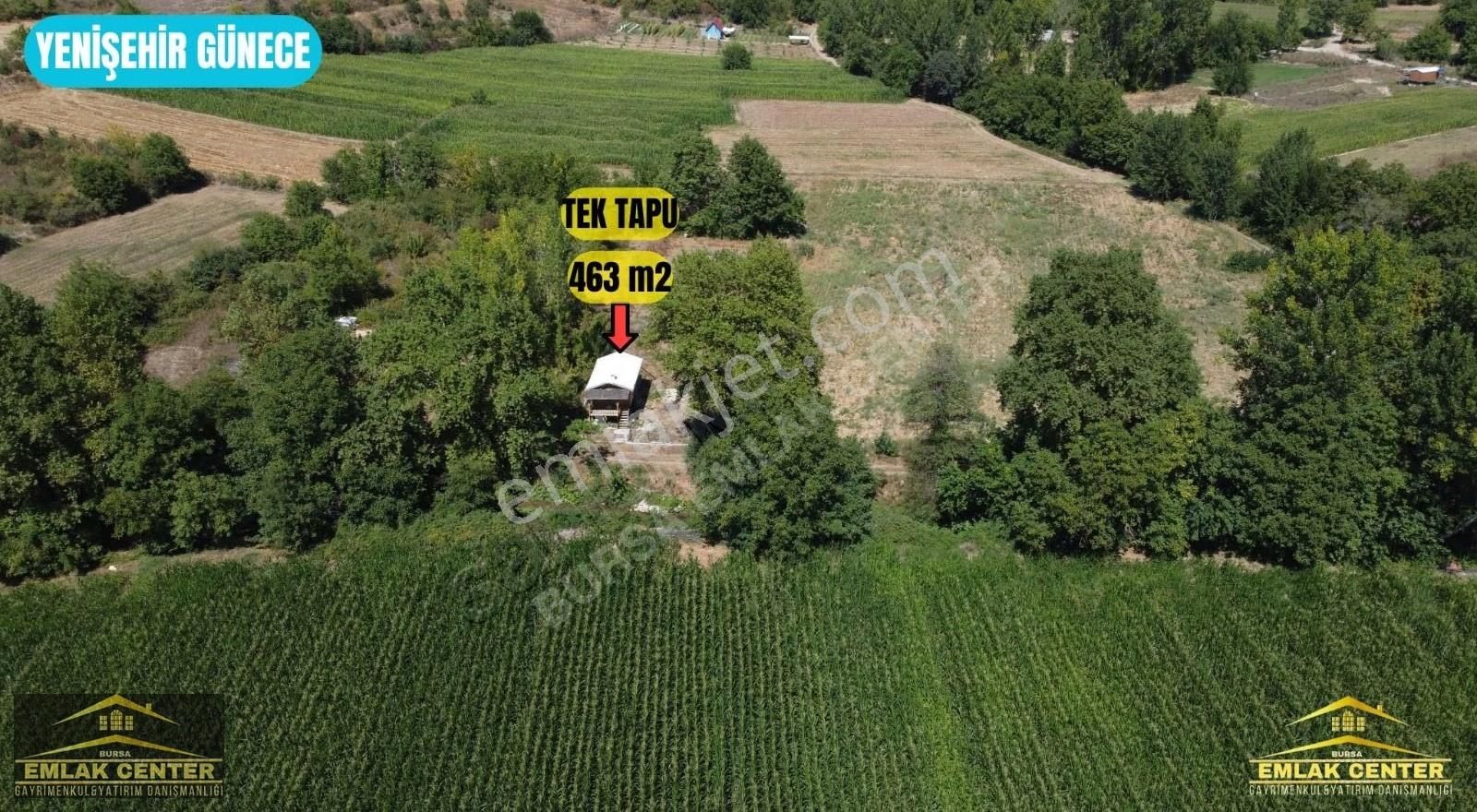 Yenişehir Günece'de 463 M2 Tek Tapu Hobi Bahçesi - Görsel 5