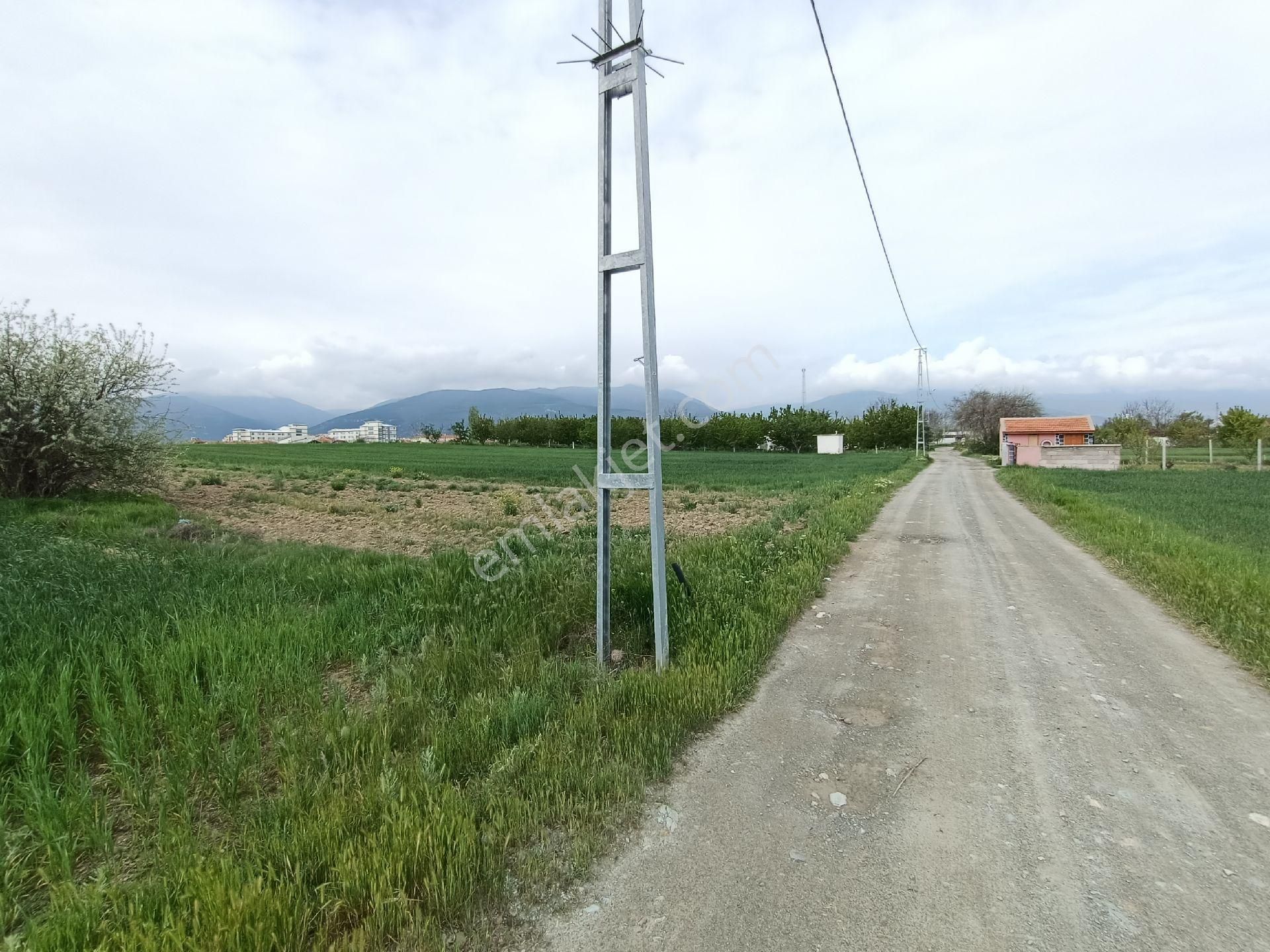 Tunçez Gm Alanyurtda 2200 M2 Müstakillik Arsa Üniversite Cvr - Görsel 5