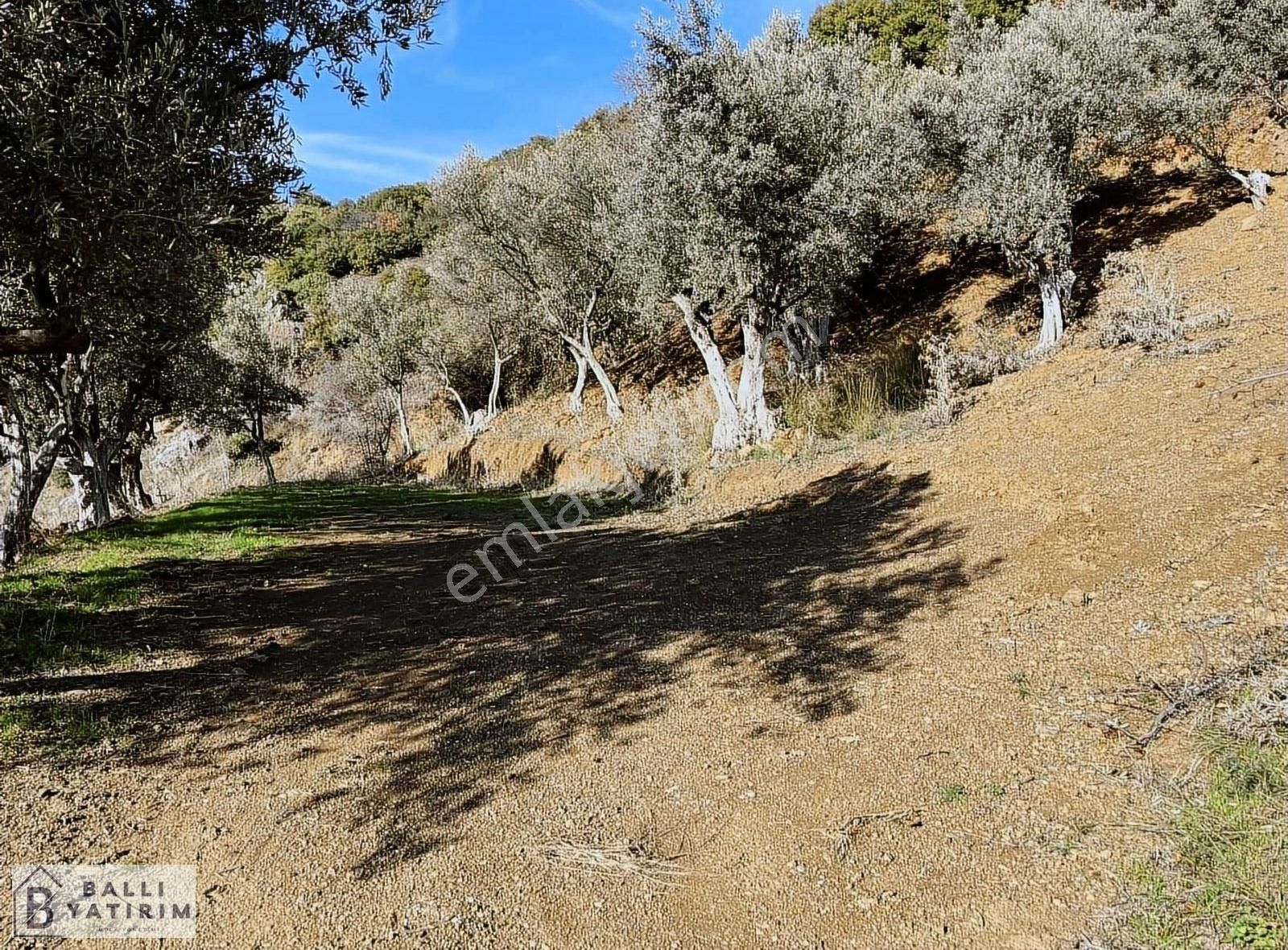 Ballı'dan Köyiçi İmarlı Çift Kadastro Yoluna Cephe Satılık Arsa - Görsel 4