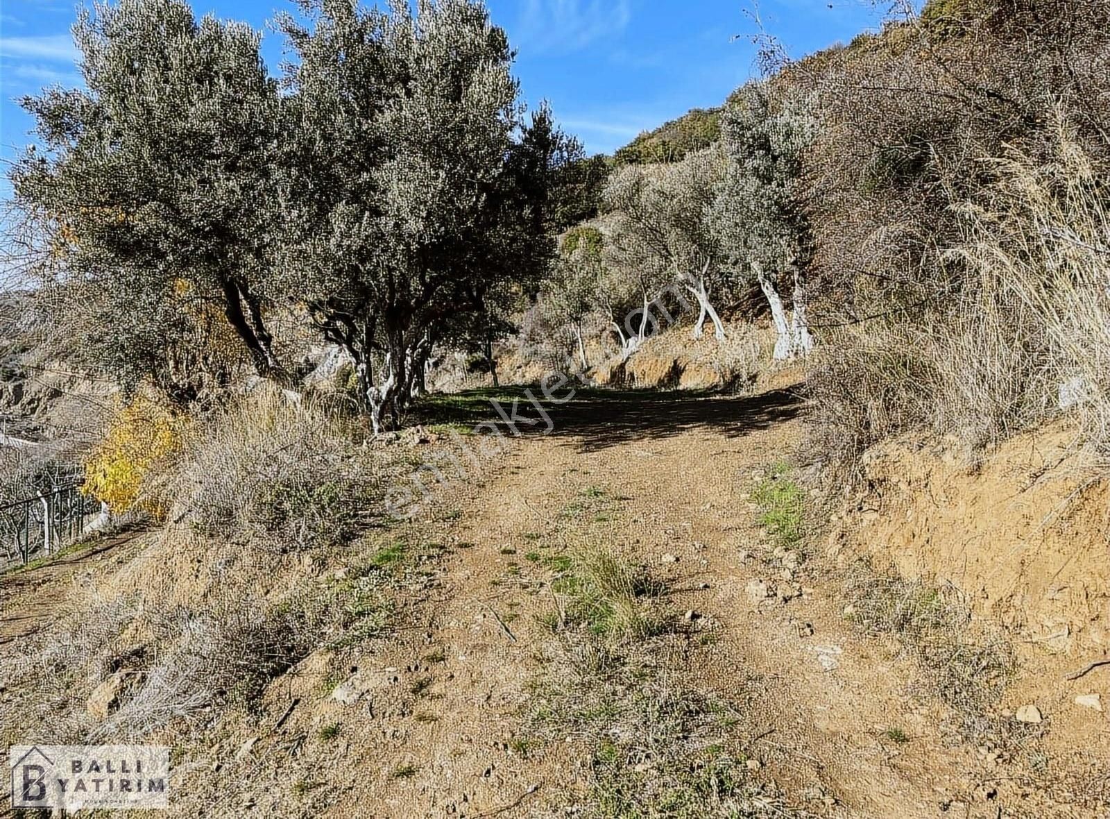 Ballı'dan Köyiçi İmarlı Çift Kadastro Yoluna Cephe Satılık Arsa - Görsel 12
