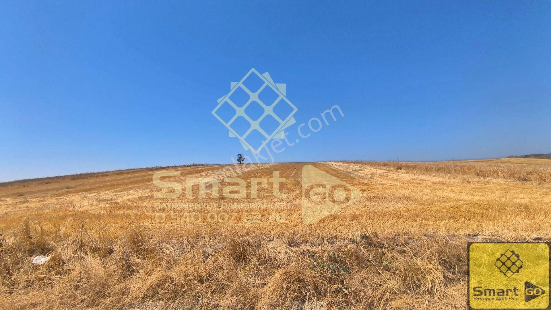 Karacabey Tophisar'da Yatırım Fırsatı 12.950 M² Satılık Tarla - Görsel 35