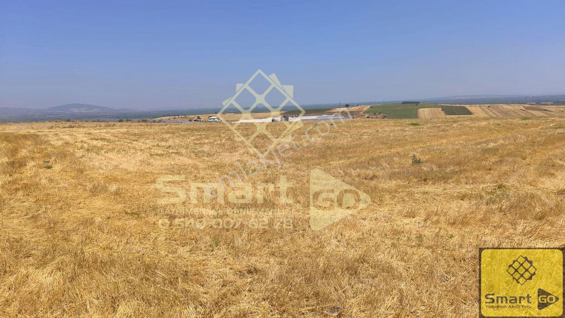 Karacabey Tophisar'da Yatırım Fırsatı 12.950 M² Satılık Tarla - Görsel 5