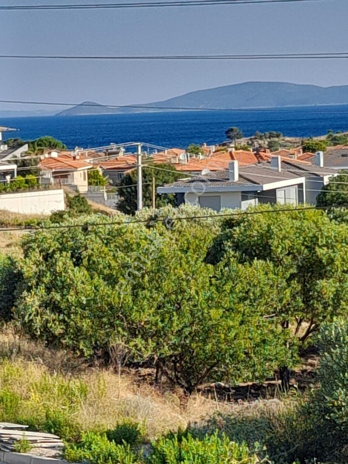 Alaçatı Gayrimenkulden Şifne'de Denize Yakın Sıfır Havuzlu Villa - Görsel 8