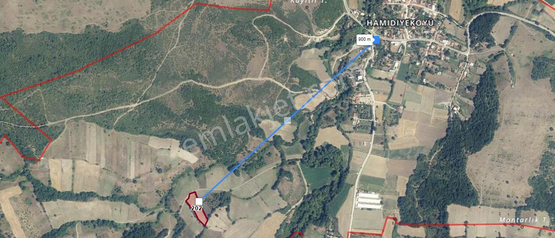 Hamidiye'de Satılık Yola Cephe 3900 M'2 Tarla