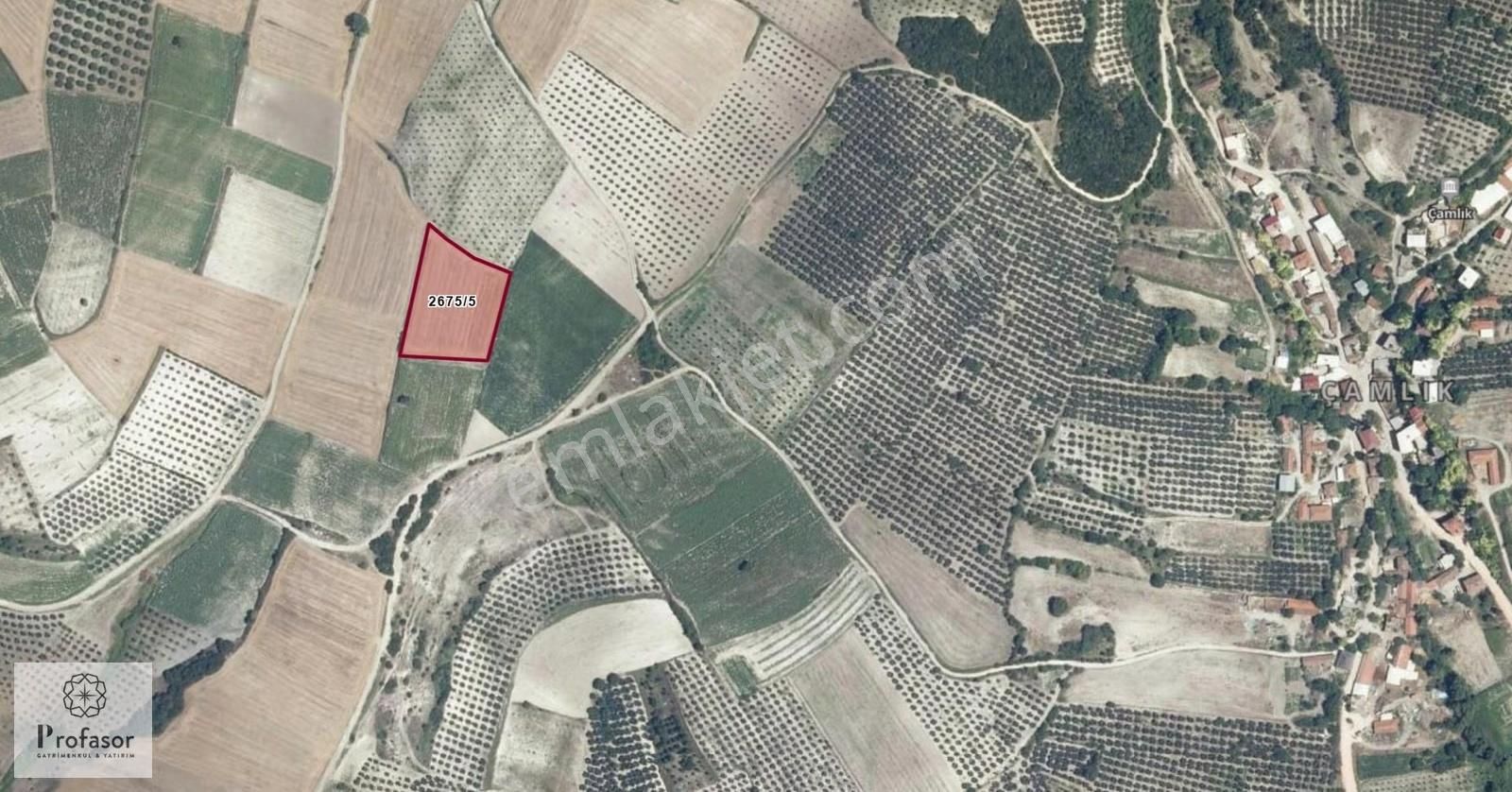 Profasor *dan Mudanya Mesudiye De Satılık 5426m2 Tarla