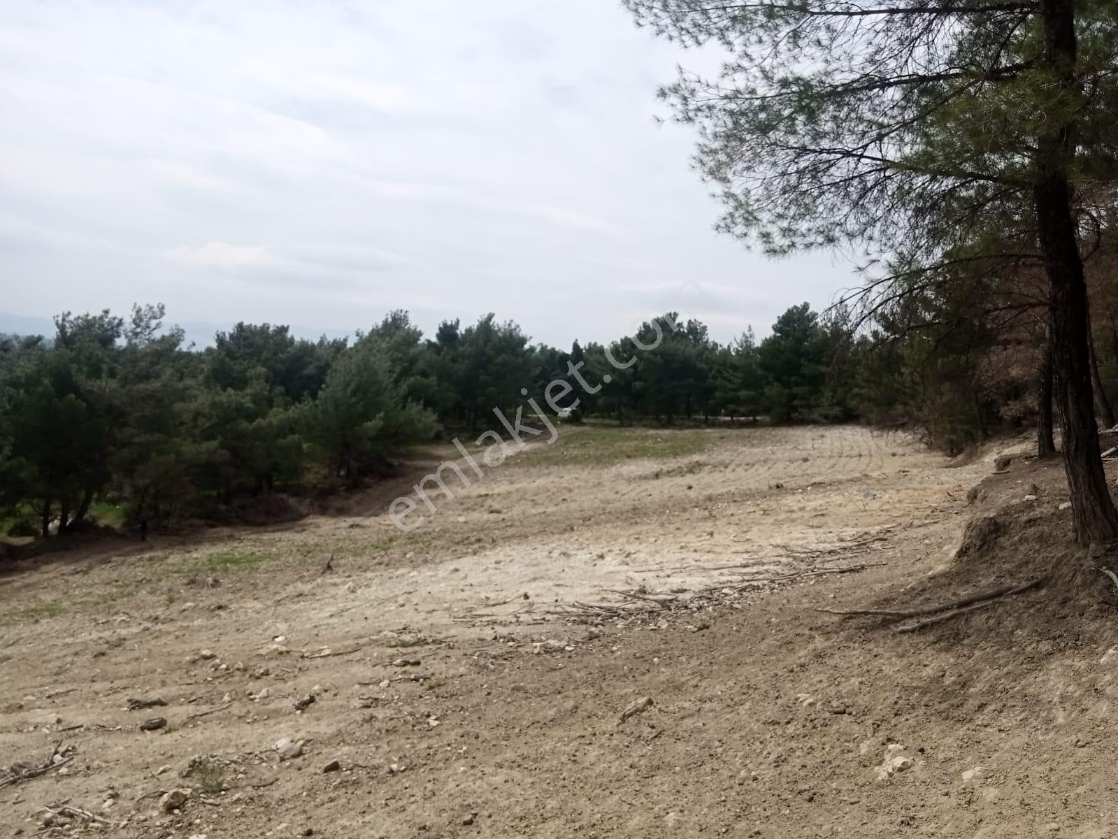 Kuzey Emlak’tan Manisa / Kırkağaç – Karacakaş’ta Satılık Tarla