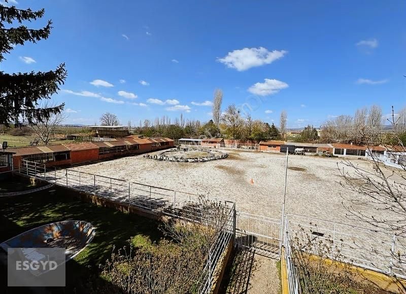 Esgyo'dan Muttalip Mahallesi'nde Satılık Çiftlik - Görsel 23