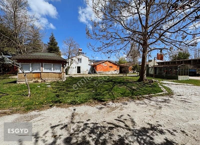 Esgyo'dan Muttalip Mahallesi'nde Satılık Çiftlik