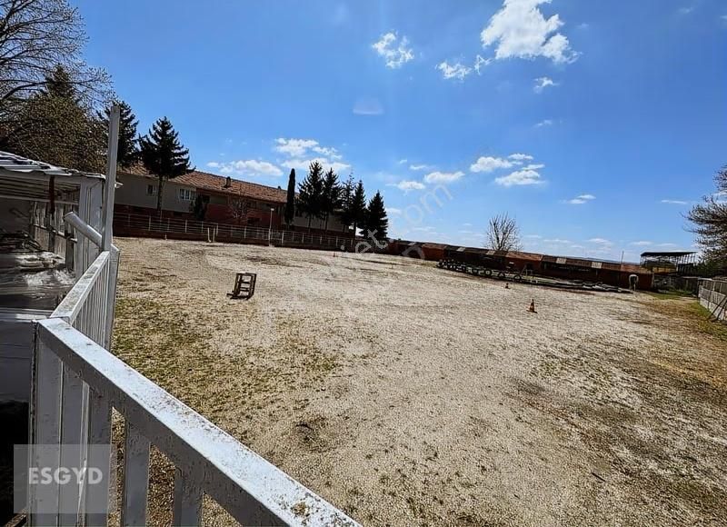 Esgyo'dan Muttalip Mahallesi'nde Satılık Çiftlik - Görsel 20