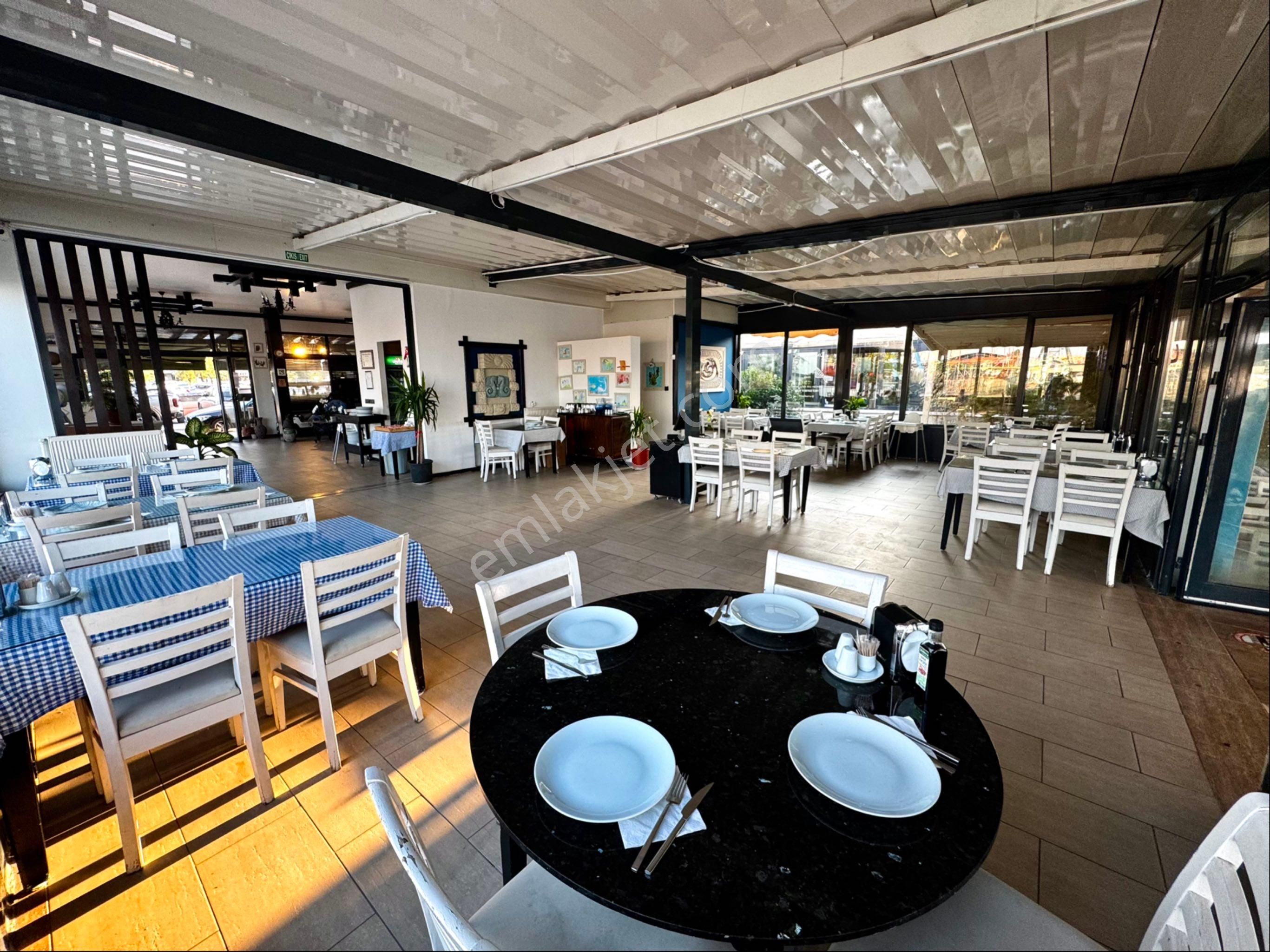 Turyap'tan Yalova'nın En Çok Kazandıran Sahil Balık Restorantı - Görsel 11