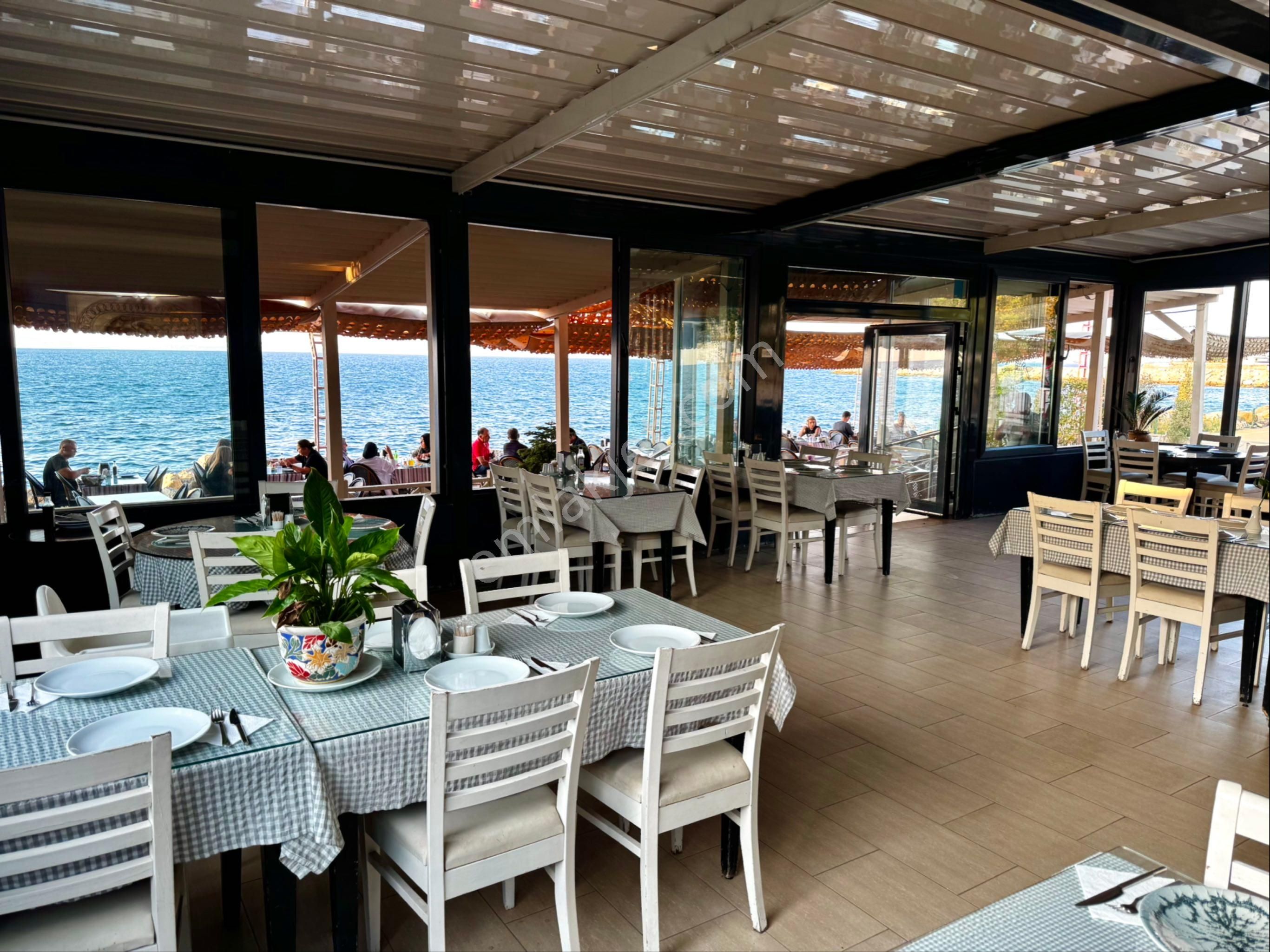 Turyap'tan Yalova'nın En Çok Kazandıran Sahil Balık Restorantı - Görsel 10