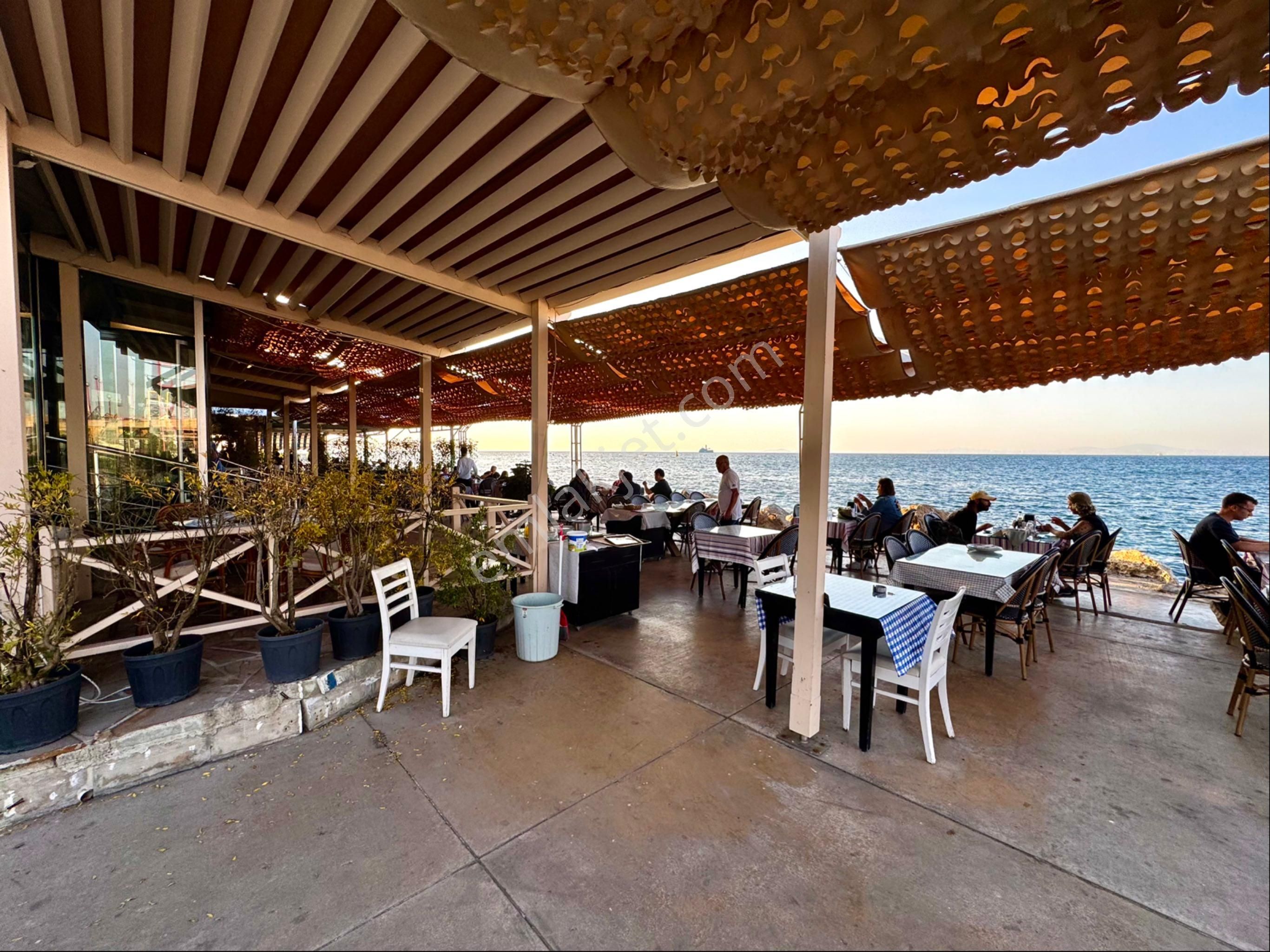 Turyap'tan Yalova'nın En Çok Kazandıran Sahil Balık Restorantı - Görsel 15