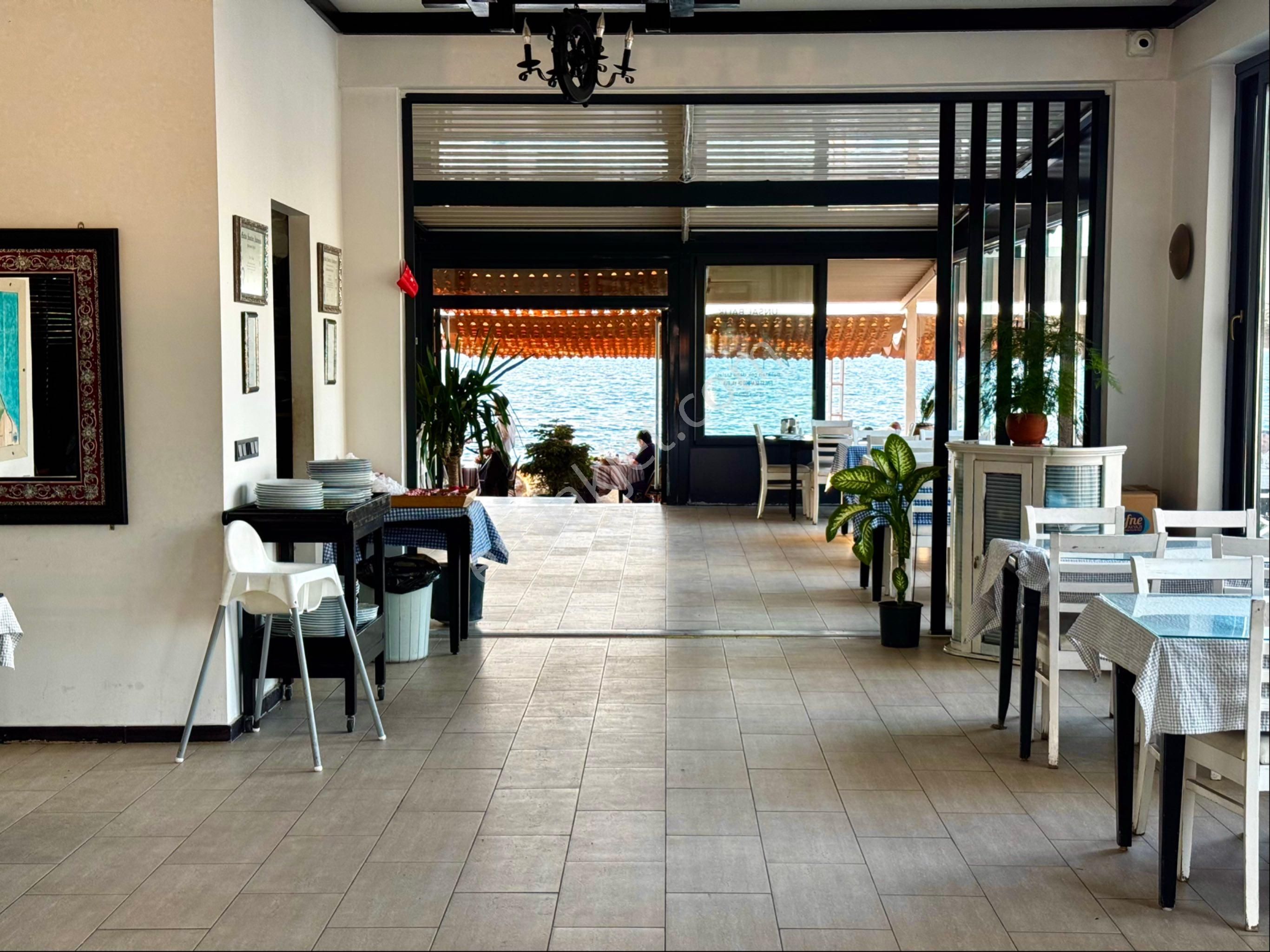 Turyap'tan Yalova'nın En Çok Kazandıran Sahil Balık Restorantı - Görsel 4