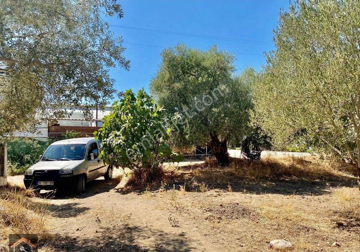 Günay Emlak'tan İzmir Bayındır Çiftçiğediği Köyünde Anayola 2. Parsel Satılık Zeytinlik - Görsel 20