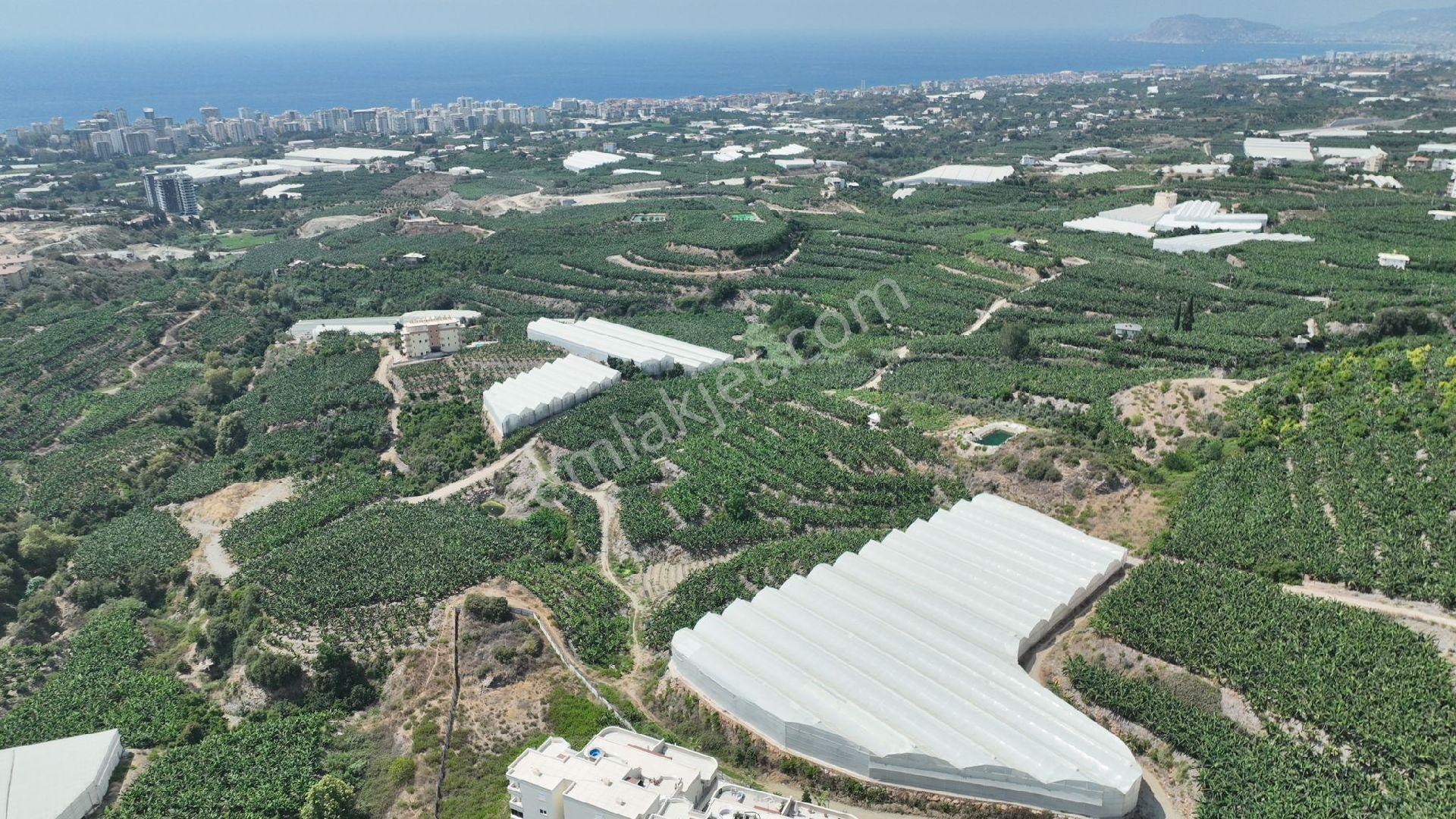 694 M² İmarlı Köşe Parsel Arsamız Satılıktır - Görsel 3