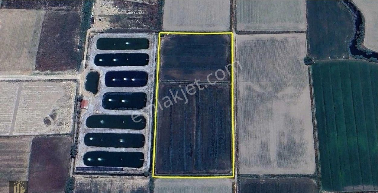 Elvan Özçelik'den Avşar'da Satılık Tarla - Görsel 2