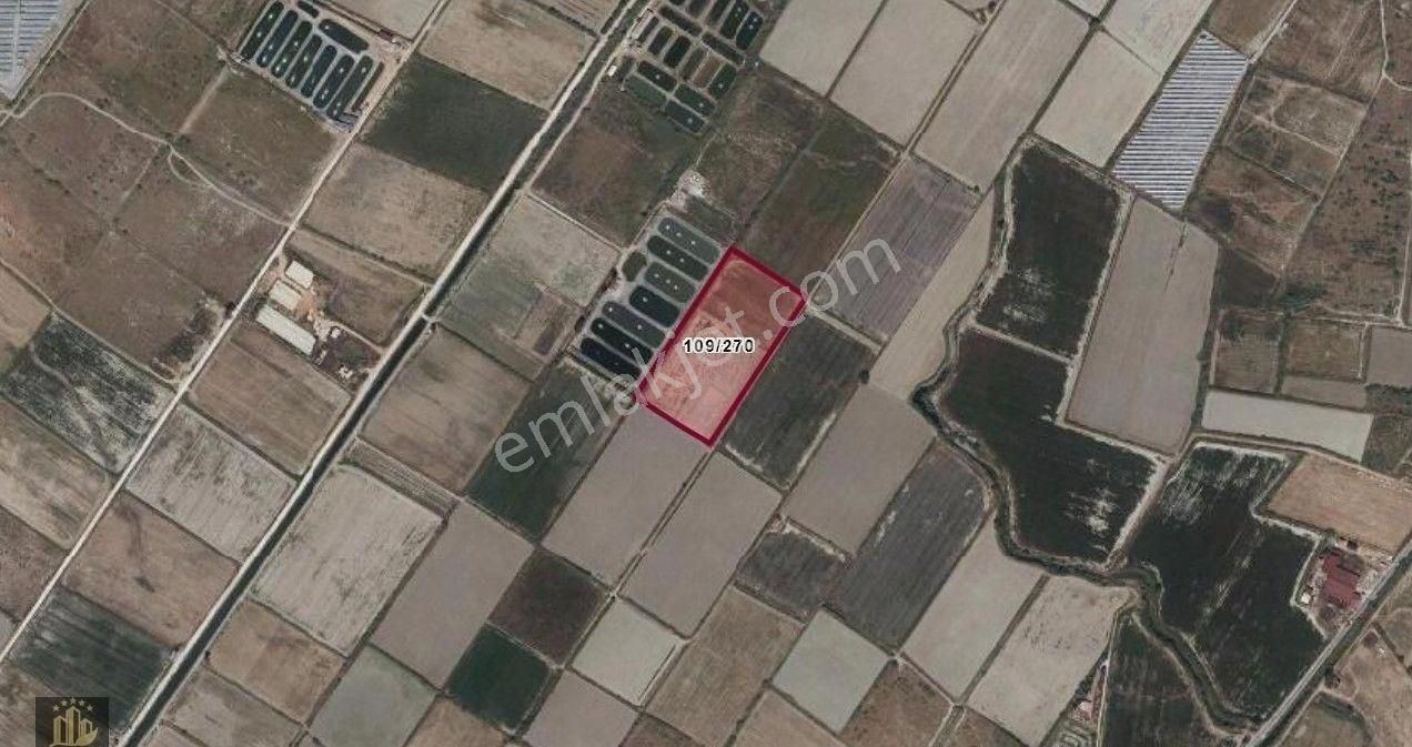 Elvan Özçelik'den Avşar'da Satılık Tarla - Görsel 3