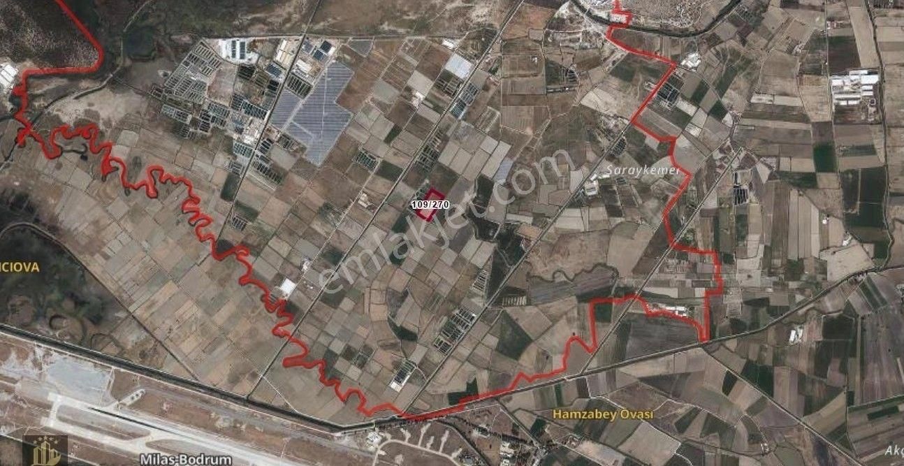 Elvan Özçelik'den Avşar'da Satılık Tarla