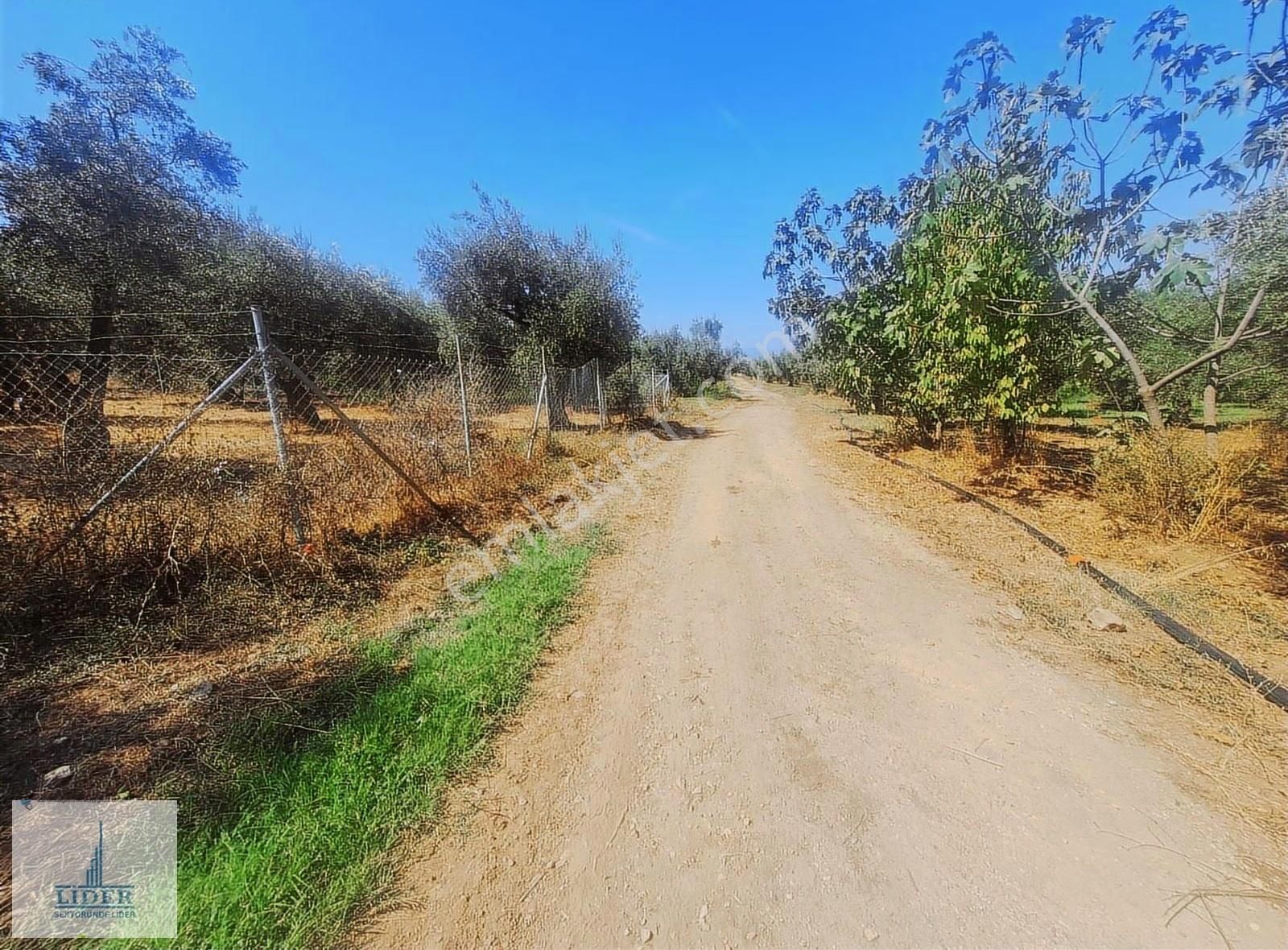 Bursa Orhangazi Heceler Mah. Çift Yola Cephe 464 M2 Zeytinlik - Görsel 10