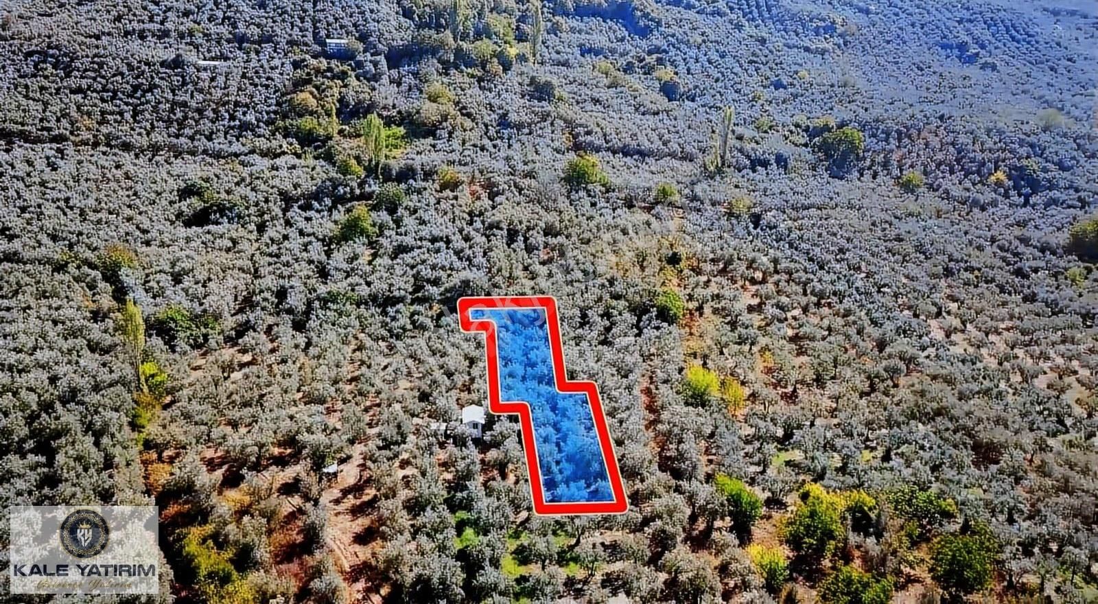Kaleden Paşapınarda Asfalt'a 50mt İznik Gölü Manzaralı 700m² - Görsel 6