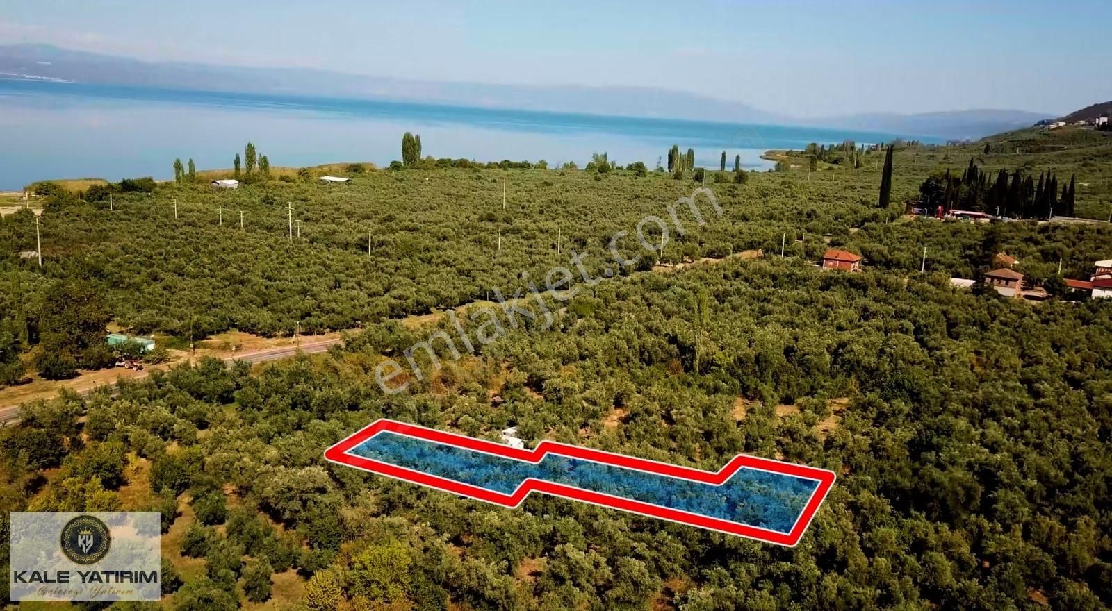Kaleden Paşapınarda Asfalt'a 50mt İznik Gölü Manzaralı 700m² - Görsel 7