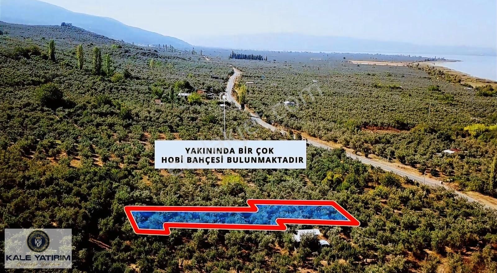 Kaleden Paşapınarda Asfalt'a 50mt İznik Gölü Manzaralı 700m² - Görsel 3
