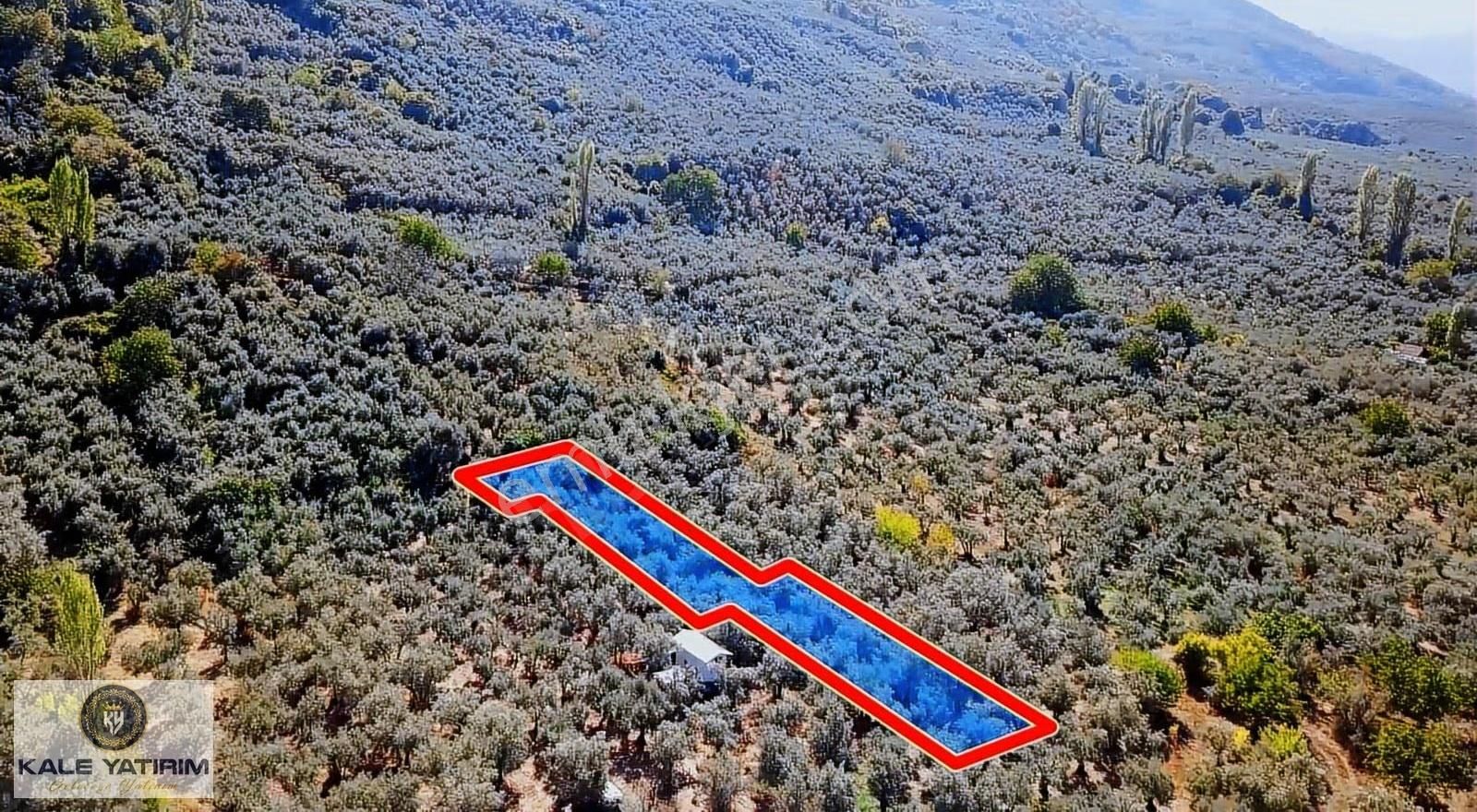 Kaleden Paşapınarda Asfalt'a 50mt İznik Gölü Manzaralı 700m² - Görsel 2