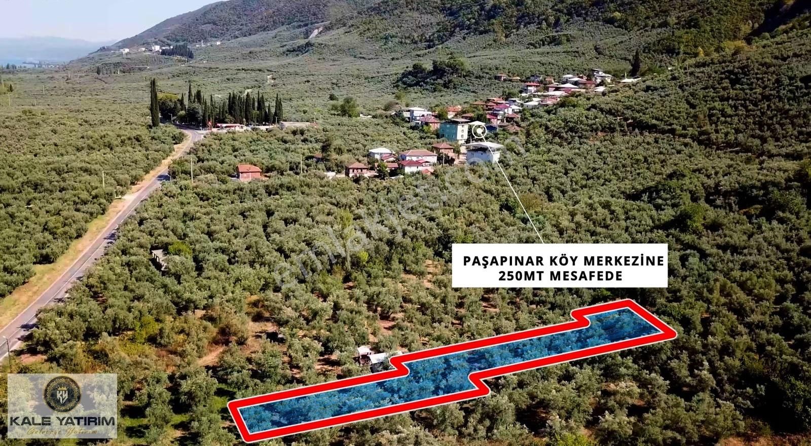 Kaleden Paşapınarda Asfalt'a 50mt İznik Gölü Manzaralı 700m² - Görsel 4