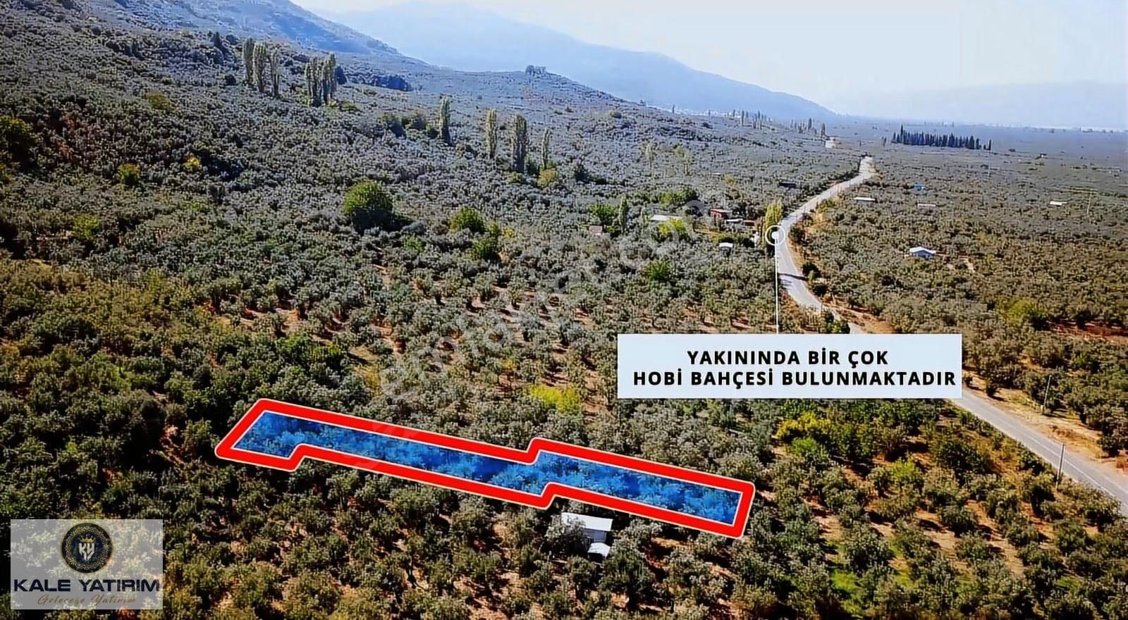 Kaleden Paşapınarda Asfalt'a 50mt İznik Gölü Manzaralı 700m² - Görsel 5
