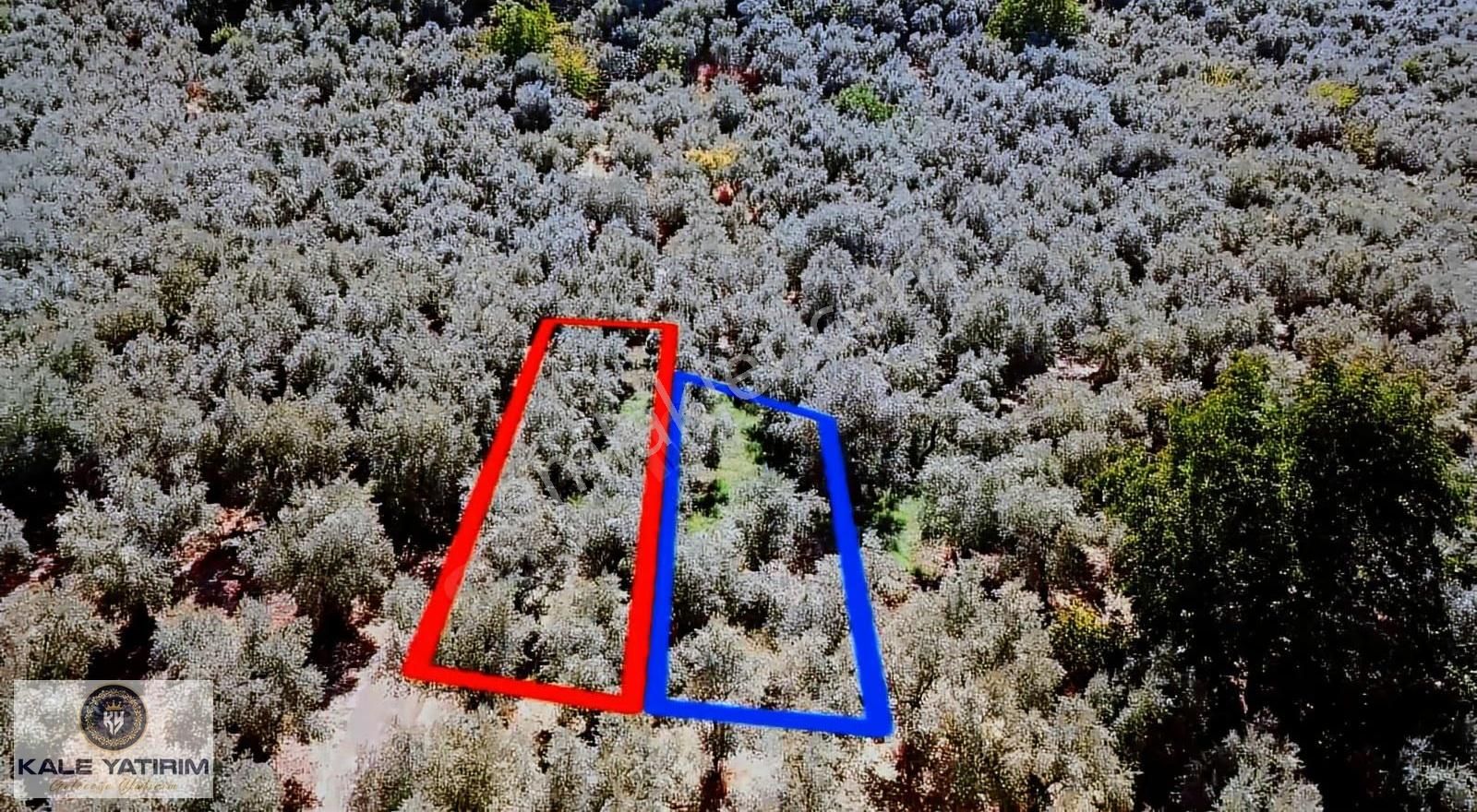 Kaleden Paşapınarda Yanyana 375m² Ve 300m 2 Aile 2 Kardeşe Uygun - Görsel 5