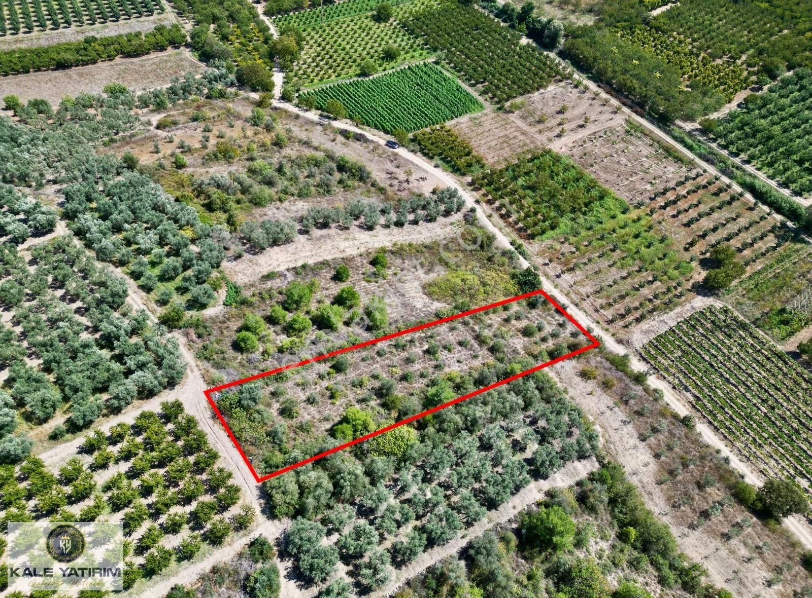 Kaleden Kaynarcada Kadastro Yola Cephe 1.525m² Köye 600mt Bahçe - Görsel 10