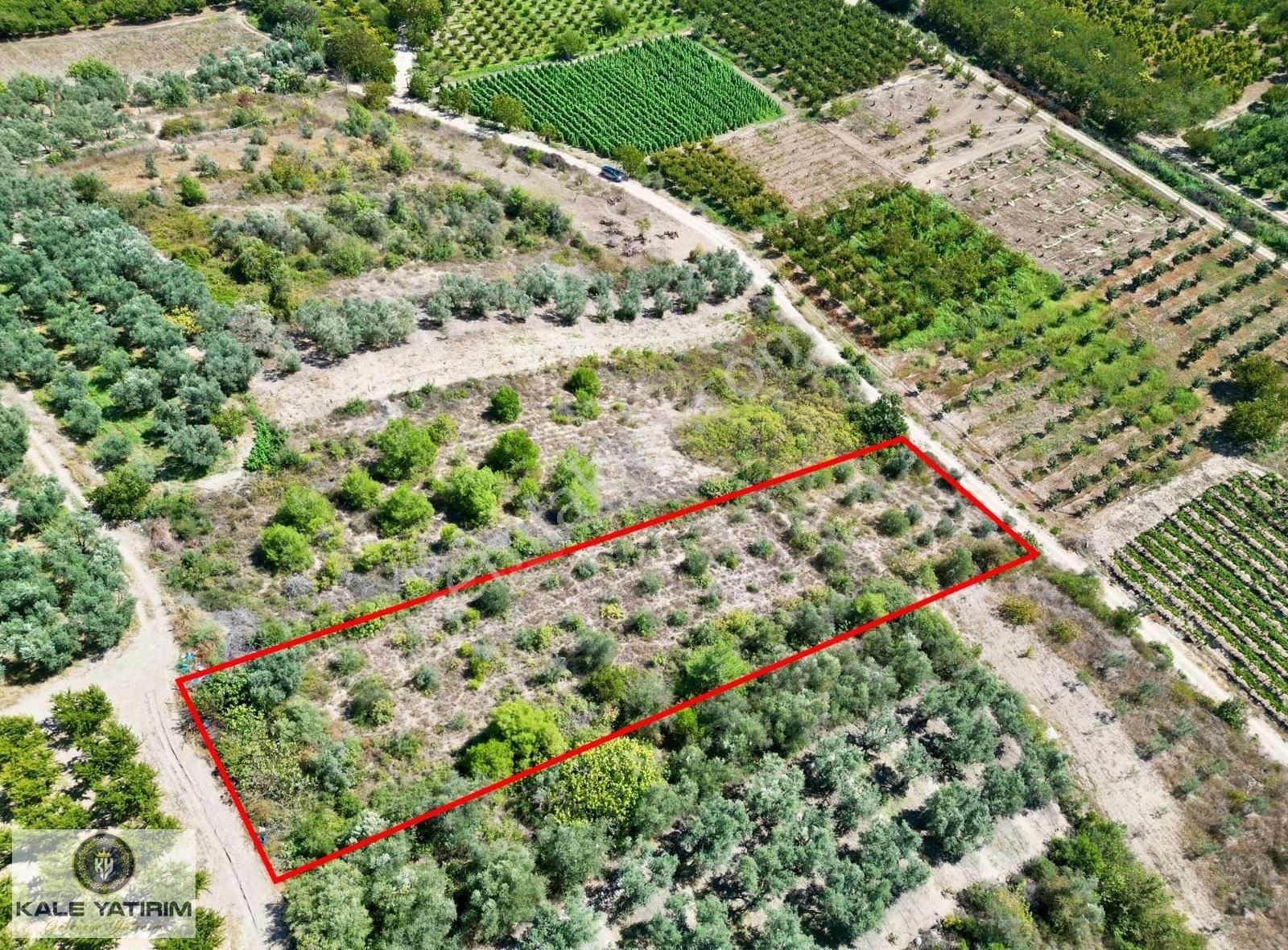 Kaleden Kaynarcada Kadastro Yola Cephe 1.525m² Köye 600mt Bahçe - Görsel 13