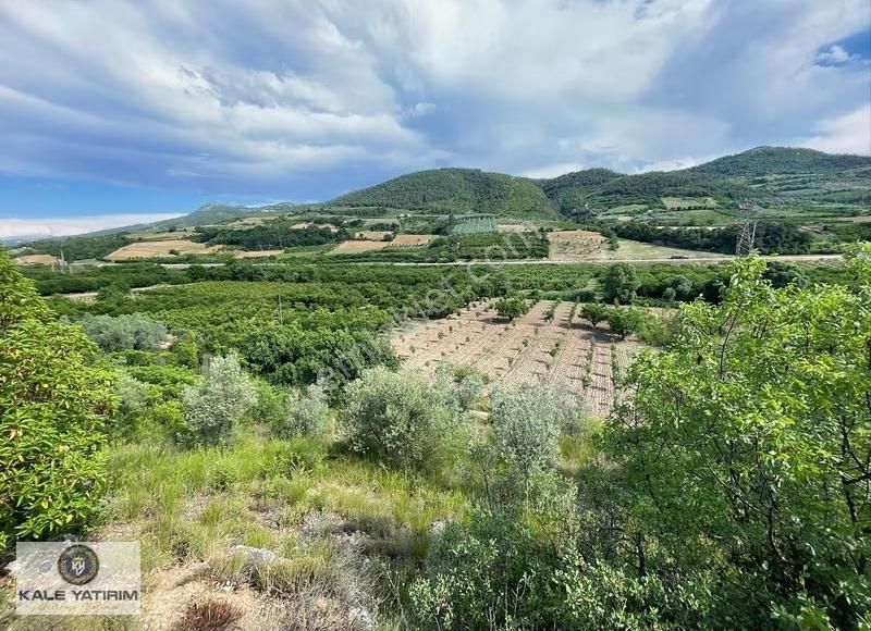 Kaleden Kaynarcada Kadastro Yola Cephe 1.525m² Köye 600mt Bahçe - Görsel 6