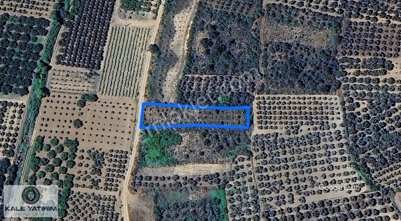 Kaleden Kaynarcada Kadastro Yola Cephe 1.525m² Köye 600mt Bahçe - Görsel 8