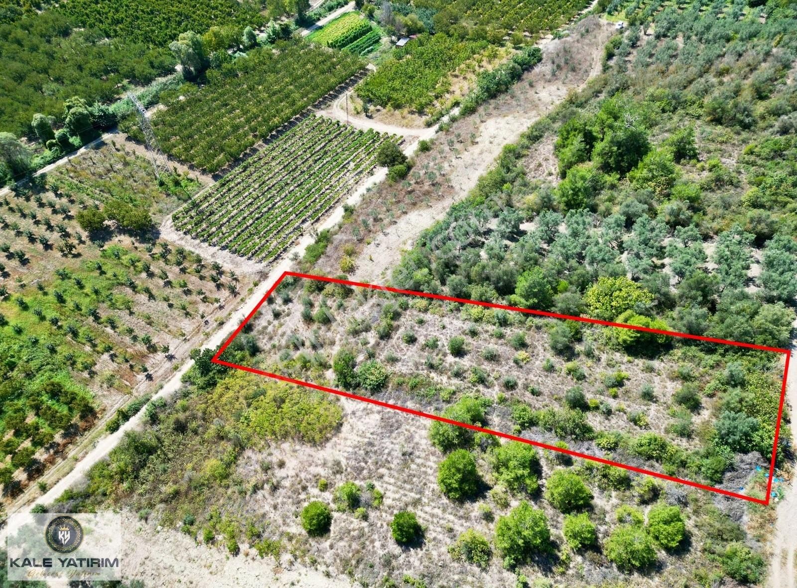 Kaleden Kaynarcada Kadastro Yola Cephe 1.525m² Köye 600mt Bahçe - Görsel 15