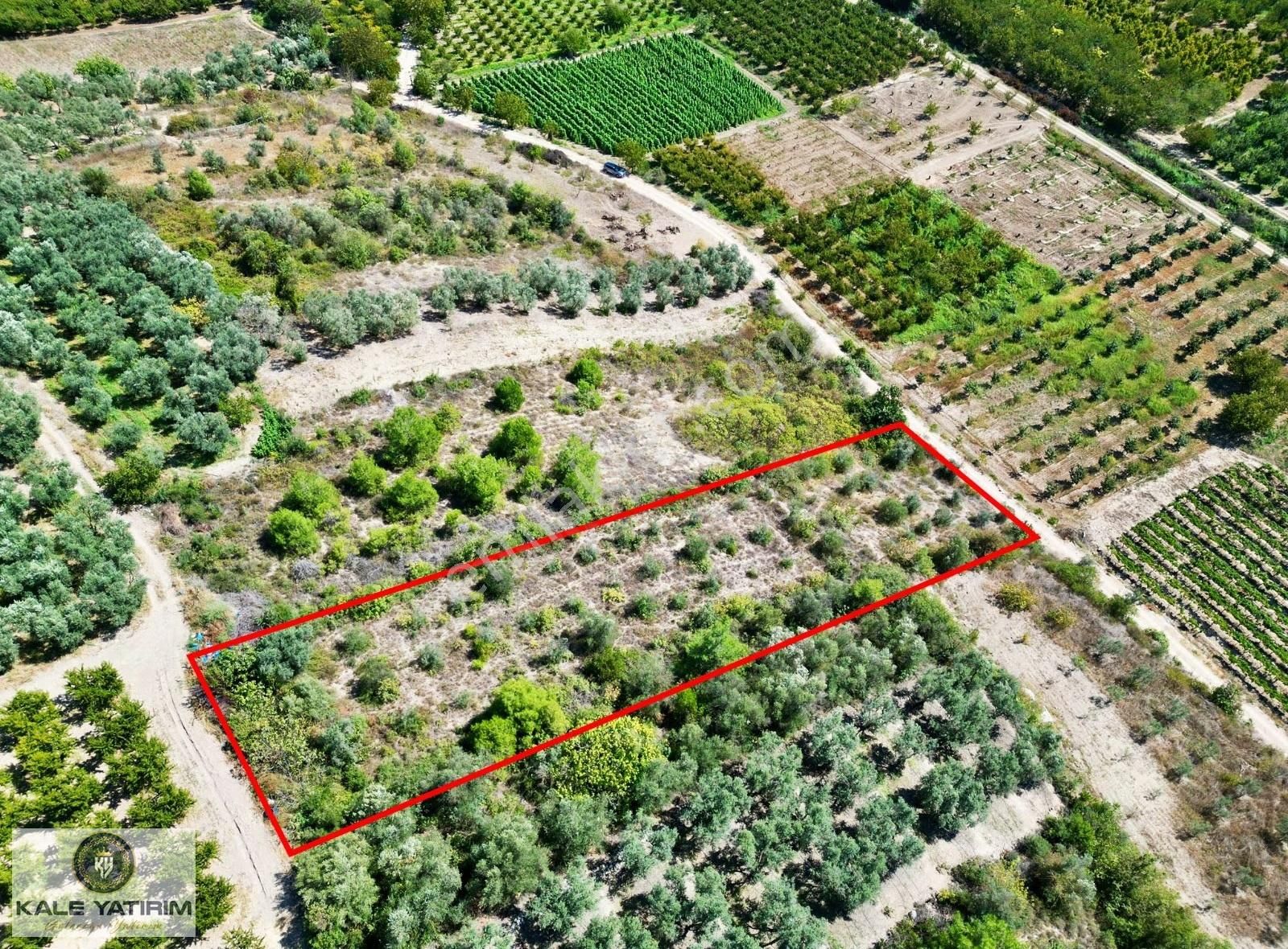 Kaleden Kaynarcada Kadastro Yola Cephe 1.525m² Köye 600mt Bahçe - Görsel 14