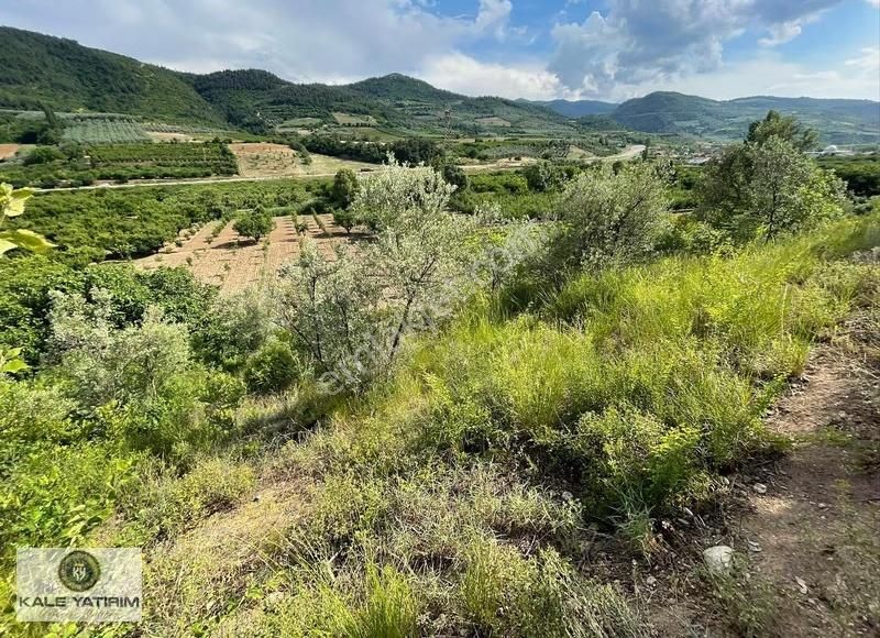 Kaleden Kaynarcada Kadastro Yola Cephe 1.525m² Köye 600mt Bahçe - Görsel 3