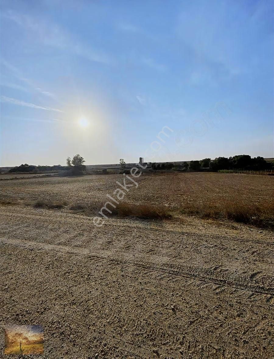 Acilll Istanbul Silivri Değirmenköy Satılık 165m2 Arsa - Görsel 4