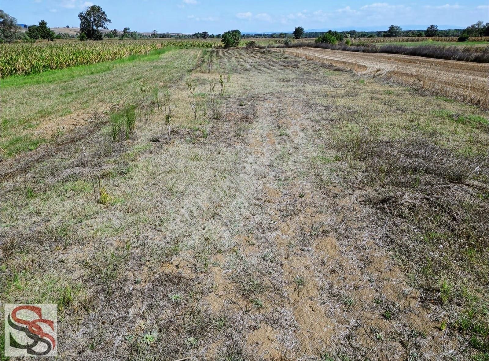 Adapazarı Karadere Mah. Yatırımlık Süper Konumda 2,332 M² Tarla - Görsel 3