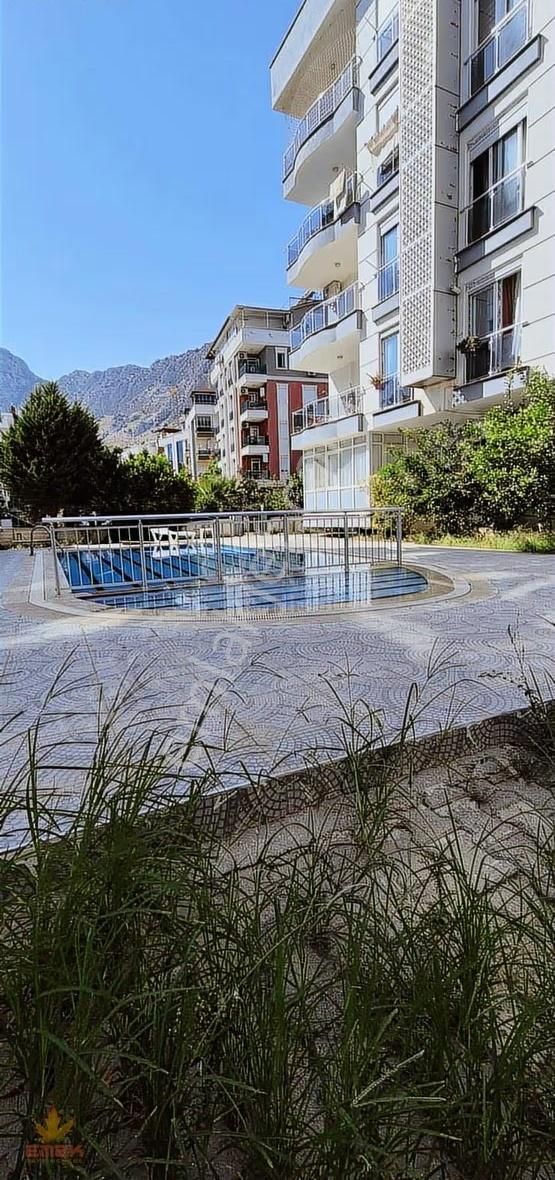 Acil Satılık Hurma 1+1 Katta - Görsel 7